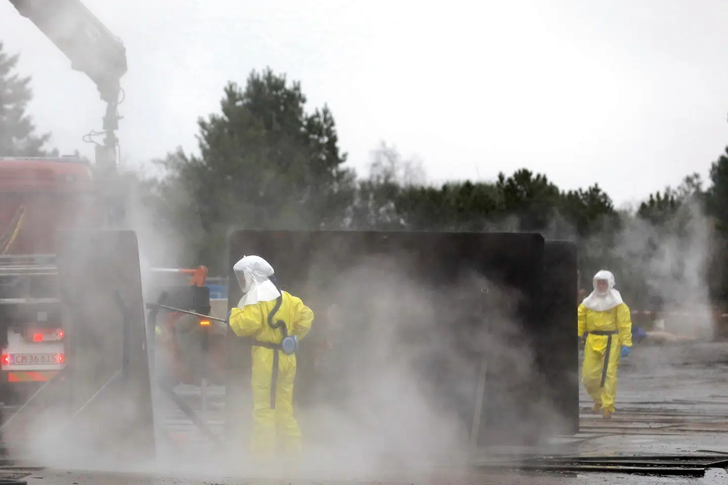 Det var på statsministerens ordre, at de knap 15 millioner danske mink blev aflivet, da man frygtede nye coronavarianter blandt smittede bestande på danske minkfarme.