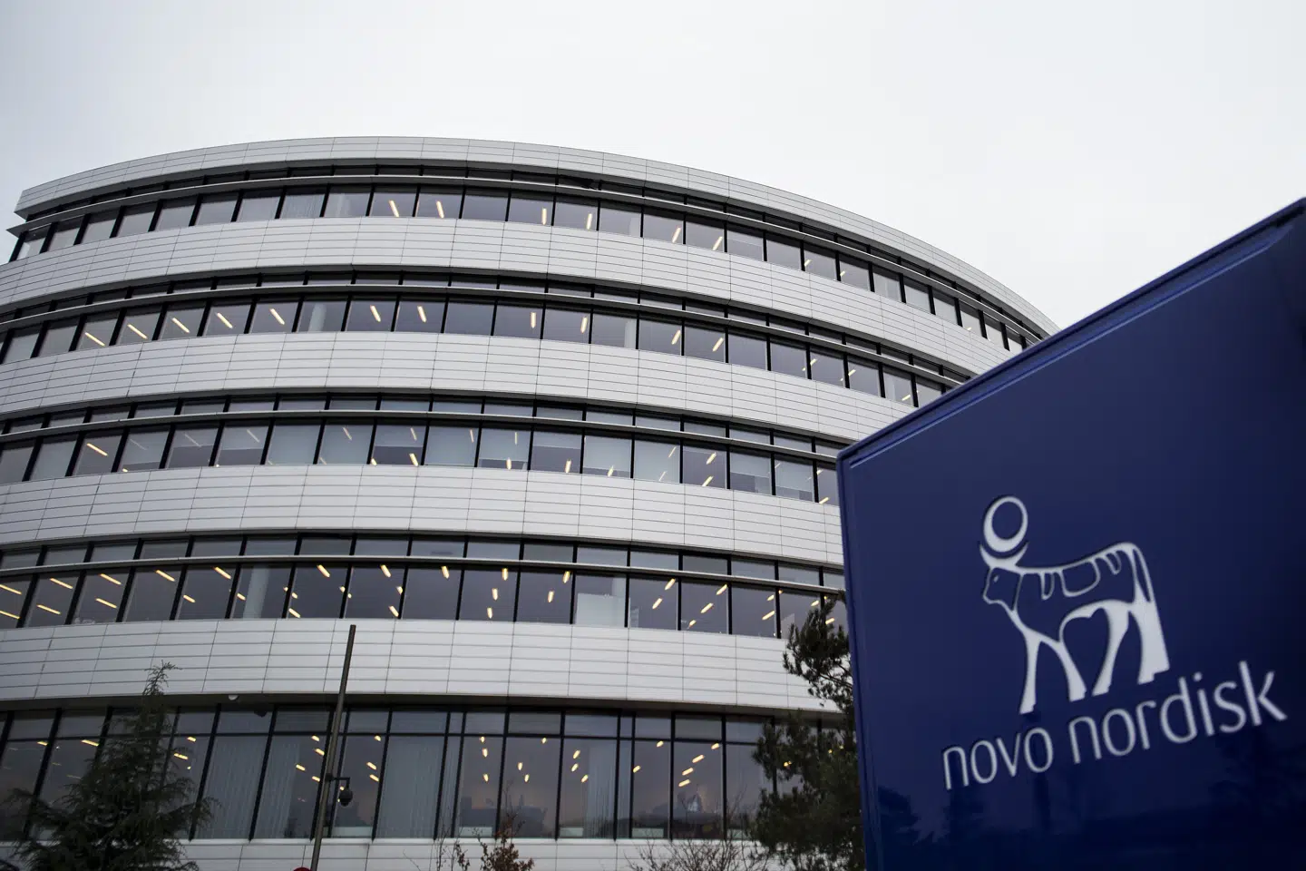 Novo Nordisk har i første kvartal af 2021 tjent mere end i samme periode i 2020. (Arkivfoto) Liselotte Sabroe/Ritzau Scanpix
