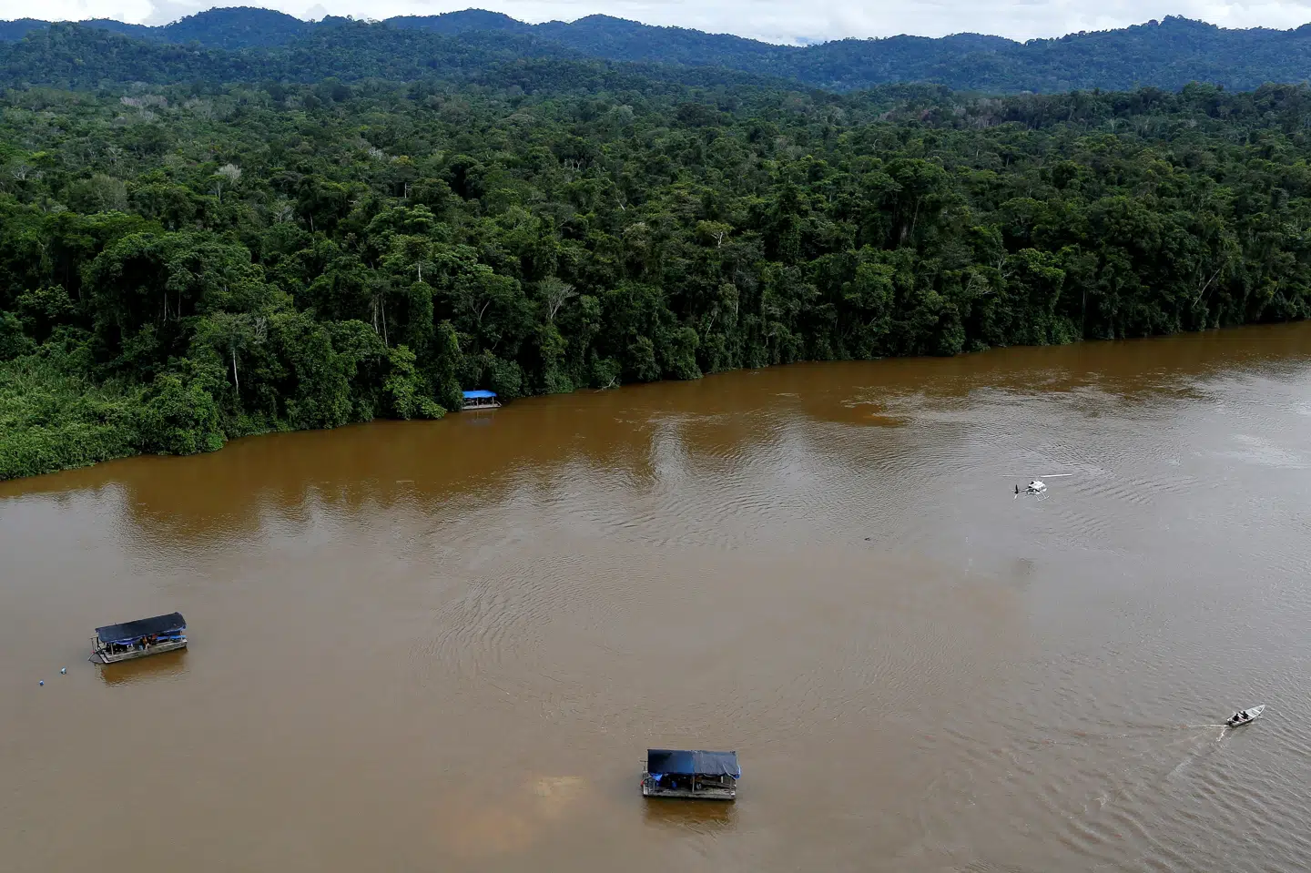 Over otte procent af verdens største regnskov, Amazonas, er blevet fældet, brændt ned eller ryddet siden år 2000. (Arkivfoto) Xxstringerxx Xxxxx/Reuters