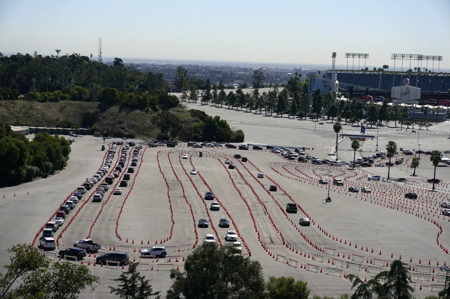 Biler slanger sig gennem en kø ved Dodger Stadium i Los Angeles, som er et af Californiens store vaccinationssteder. USA har nu rundet en milepæl ved at færdigvaccinere 100 millioner mennesker. (Arkivfoto) Marcio Jose Sanchez/Ritzau Scanpix