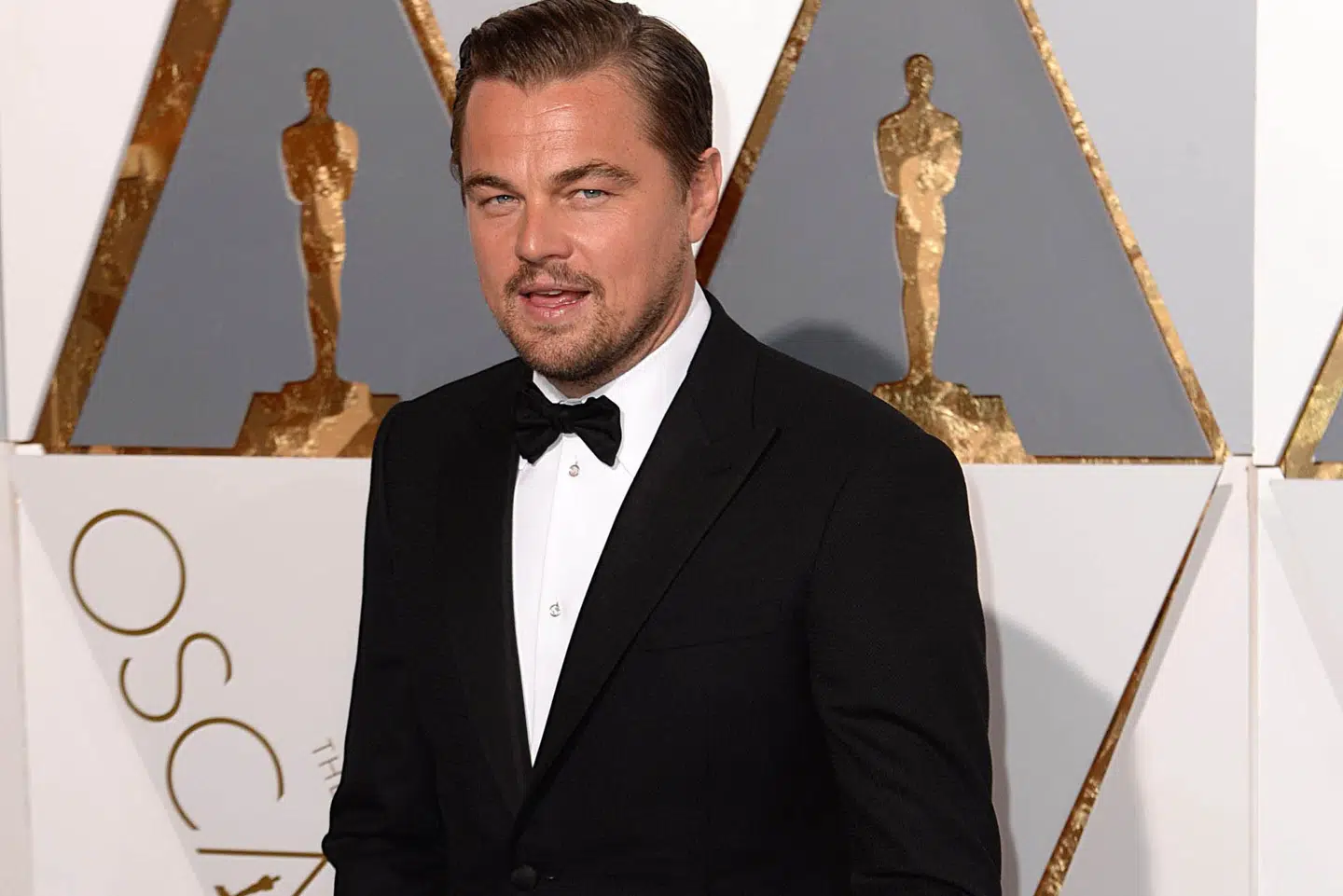 DiCaprio kan måske se frem til at spille gymnasielærer. Han er kendt for at have været med i storfilm som Titanic af James Cameron og for at samarbejde med instruktører som Martin Scorsese og Quentin Tarantino. Zz/Doug Peters/Star Max/Ipx/Ritzau Scanpix