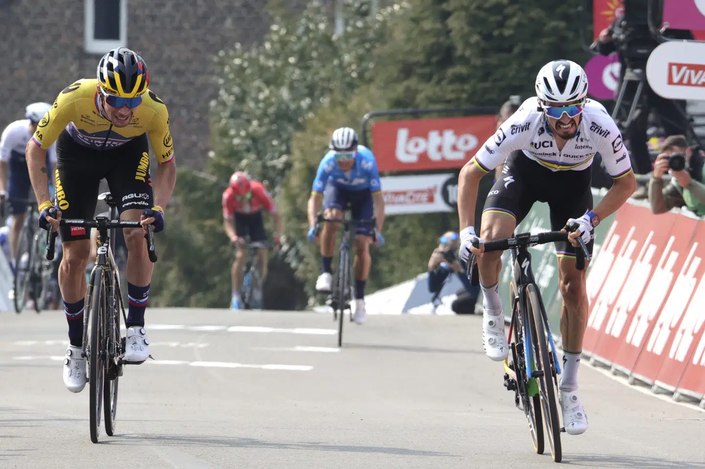 Julian Alaphilippe (th.), som her oversprinter Primo Roglič, har ét cykelmonument på cv'et. I 2019 vandt han Milano-San Remo. Olivier Matthys/Ritzau Scanpix