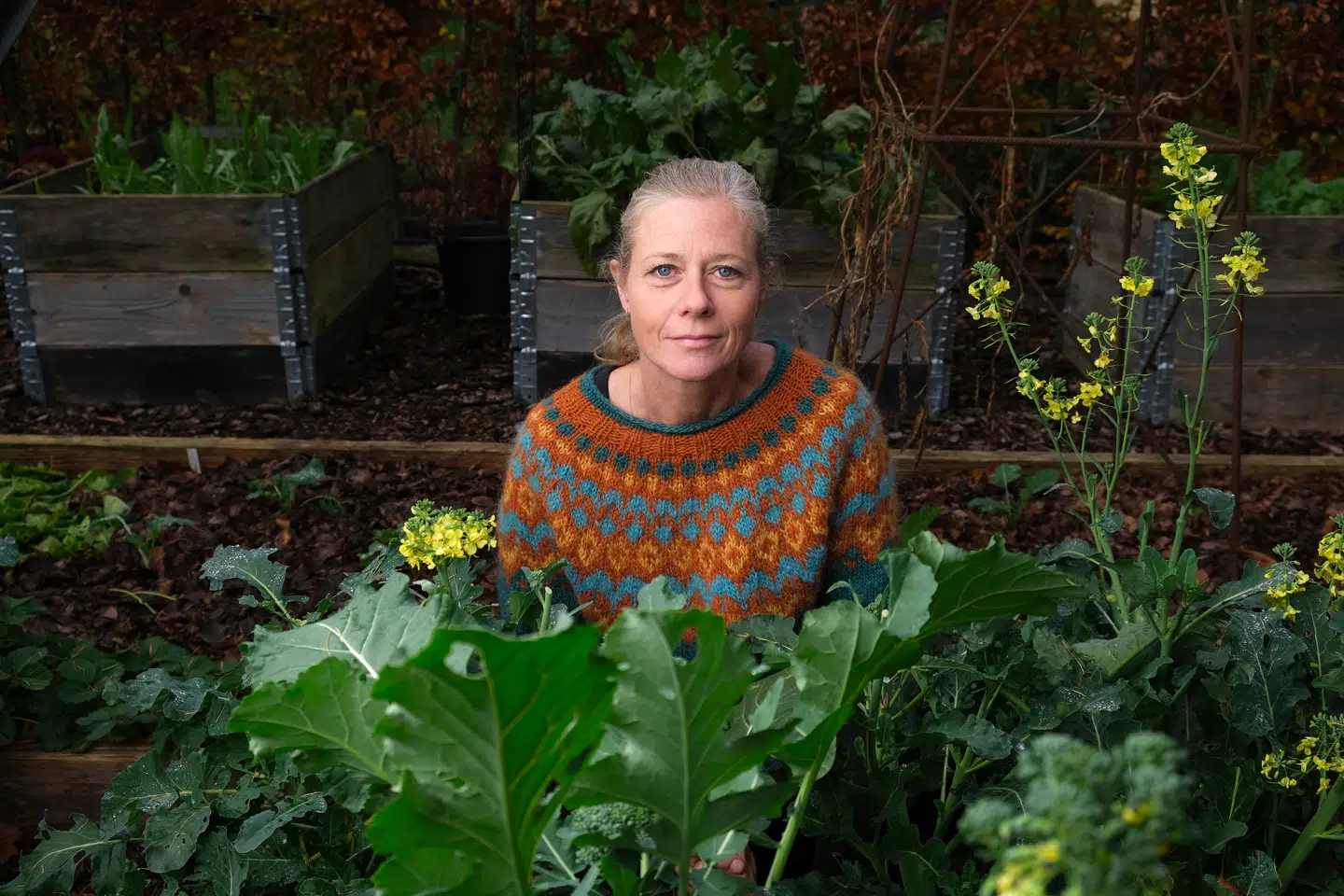 Anja Kelvin, Haveselskabet