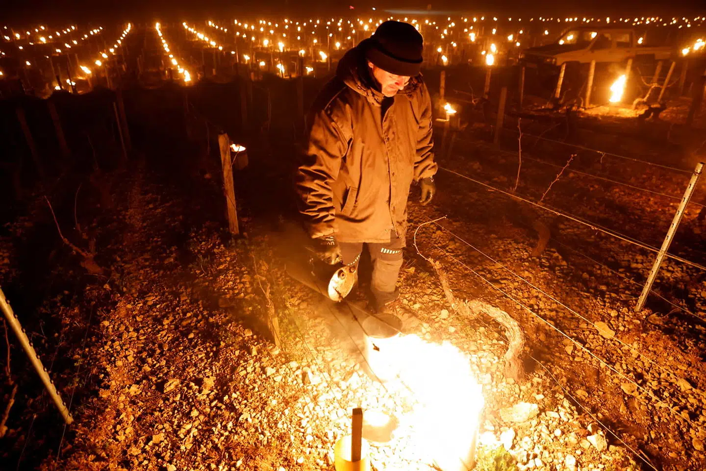 Vinbønderne som her i Chablis har blandt andet forsøgt at forhindre frostskaderne ved at tænde ild mellem vinstokkene i de tidlige morgentimer.