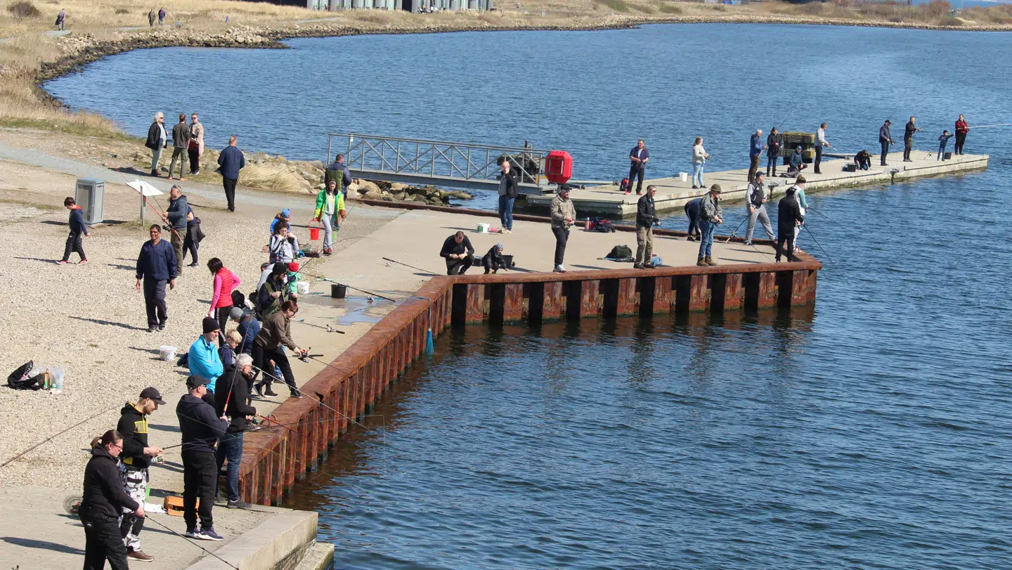Sådan så det ud i Hvide Sande søndag den 18. april 2021. Ifølge B.T.s læser Ole Sørensen, der har indsendt billedet, er det store sildestimer, der har fået de mange lystfiskere til at kaste snøren ud. Foto: Ole Sørensen