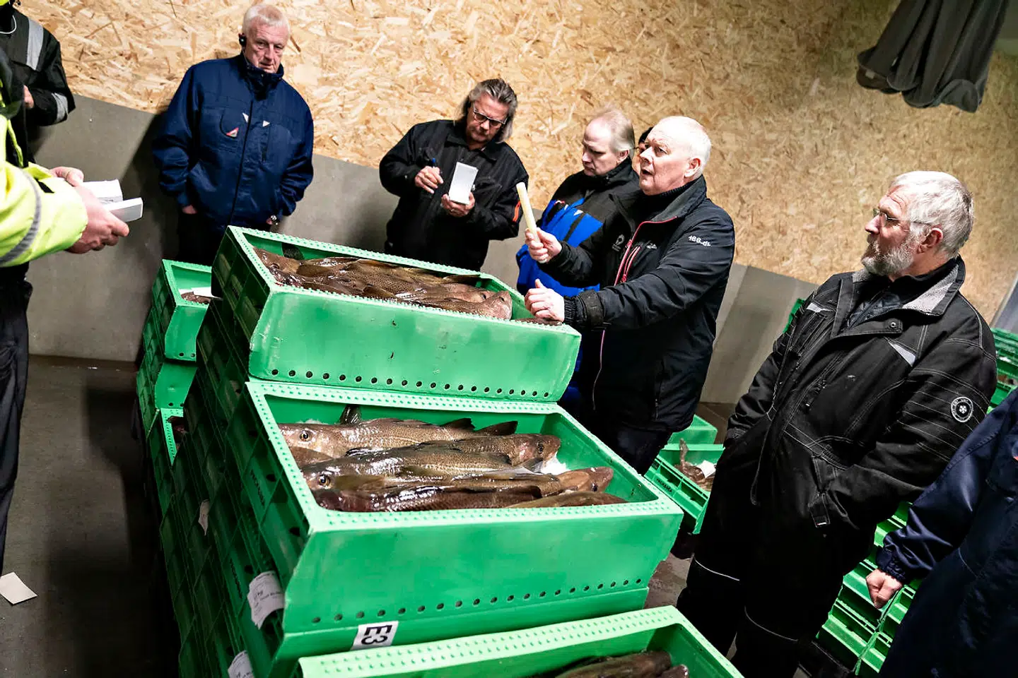 Fiskerikontrollen mødte midt i coronatiden op med 18 kursusdeltagere på Grenå Havn, selv om de kun skulle have været fire. Billedet her er fra Hanstholm Fiskeauktion ved en tidligere lejlighed før corona-restriktionerne.Arkivfoto