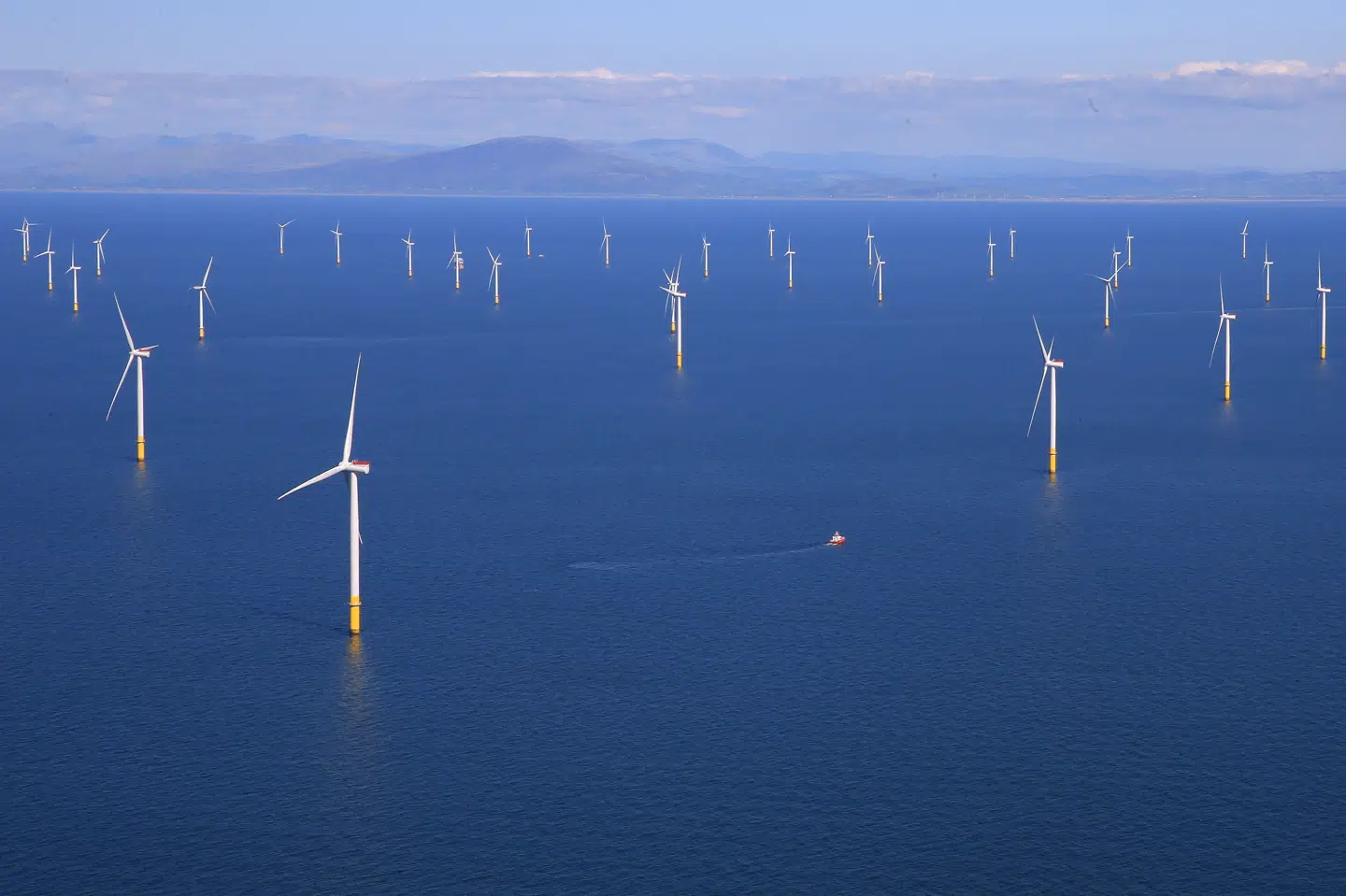 Europa oplevede sidste år den varmeste sommer på kontinentet, som nogensinde er blevet registreret. Det siger EU's Copernikus-observationstjeneste torsdag. Udmeldingen kommer, samme dag som 40 af verdens ledere holder et virtuelt klimatopmøde under forsæde af USA's præsident, Joe Biden. Phil Noble/Reuters