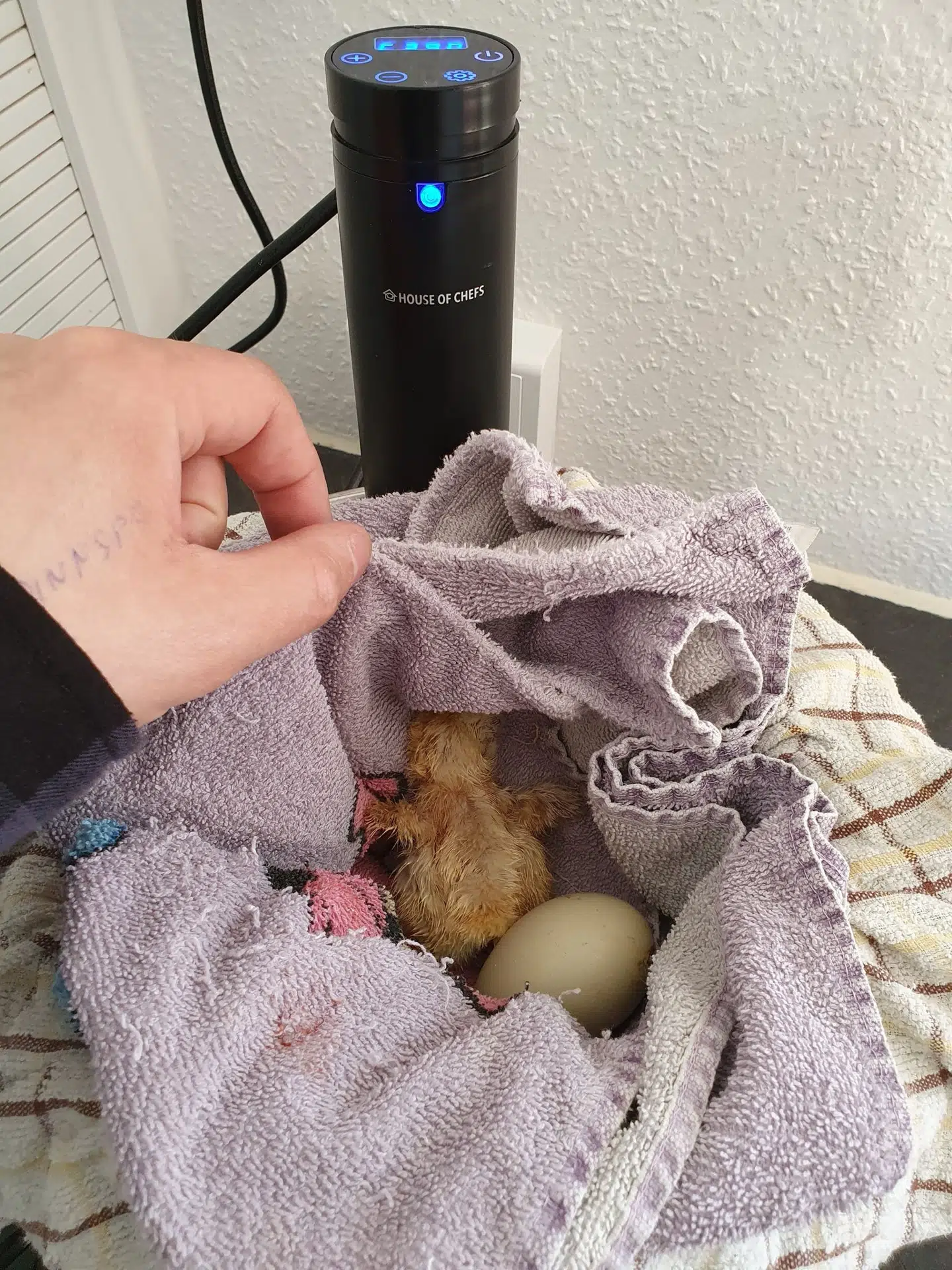 Her ses den lille 'rede', som Hessel og konen byggede i en gryde.