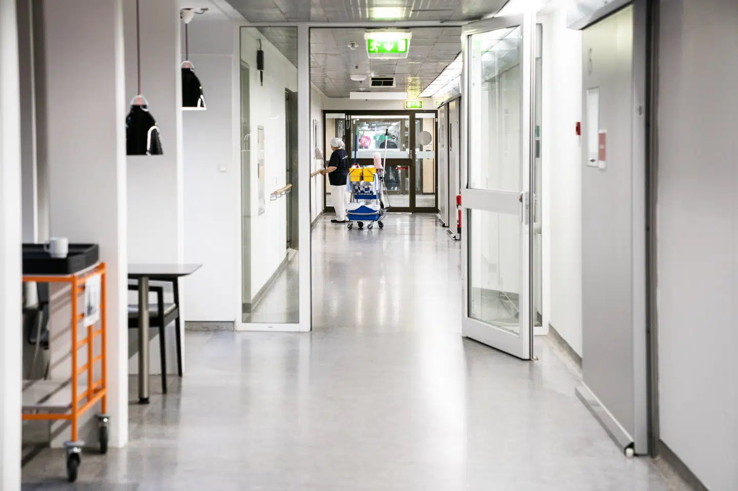 37 personer landet over blev ramt af salmonellainfektion, og heraf blev 23 indlagt til behandling på sygehuse. Det er efter alt at dømme et parti inficerede loppefrøskaller fra Indien, som er årsagen til udbruddet. (Arkivfoto). Ida Marie Odgaard/Ritzau Scanpix