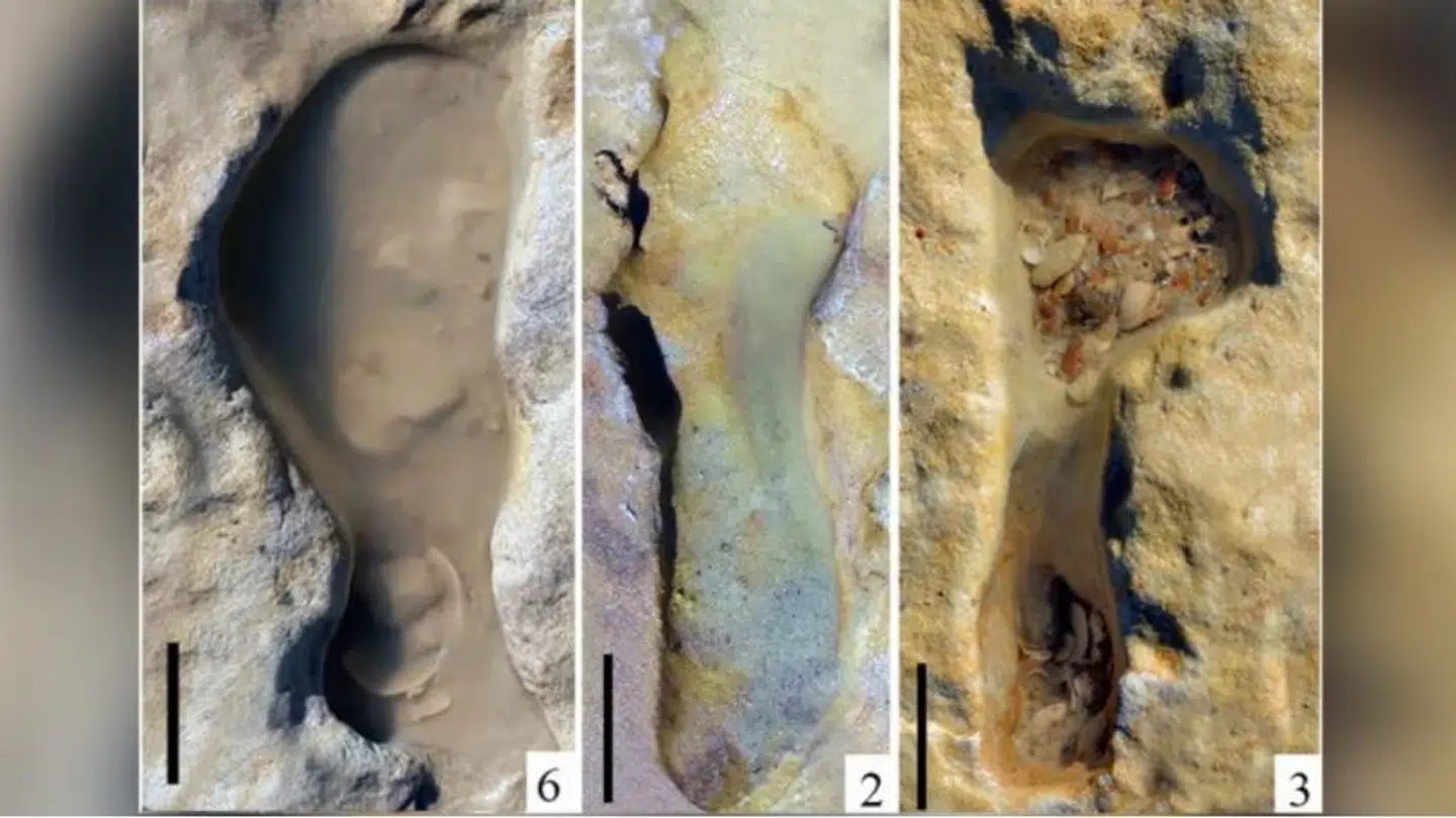 De fossile fodspor blev opdaget på en strand i det sydlige Spanien i juni sidste år. De vurderes til at være mere end 100.000 år gamle og er muligvis de ældste, man nogensinde har set i Europa.