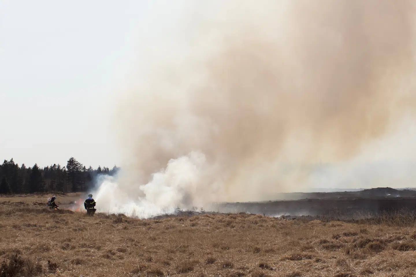 Brandfolk forsøger lørdag eftermiddag at slukke en stor naturbrand ved Randbøl Hede syd for Billund. Presse-Fotos.dk/Ritzau Scanpix