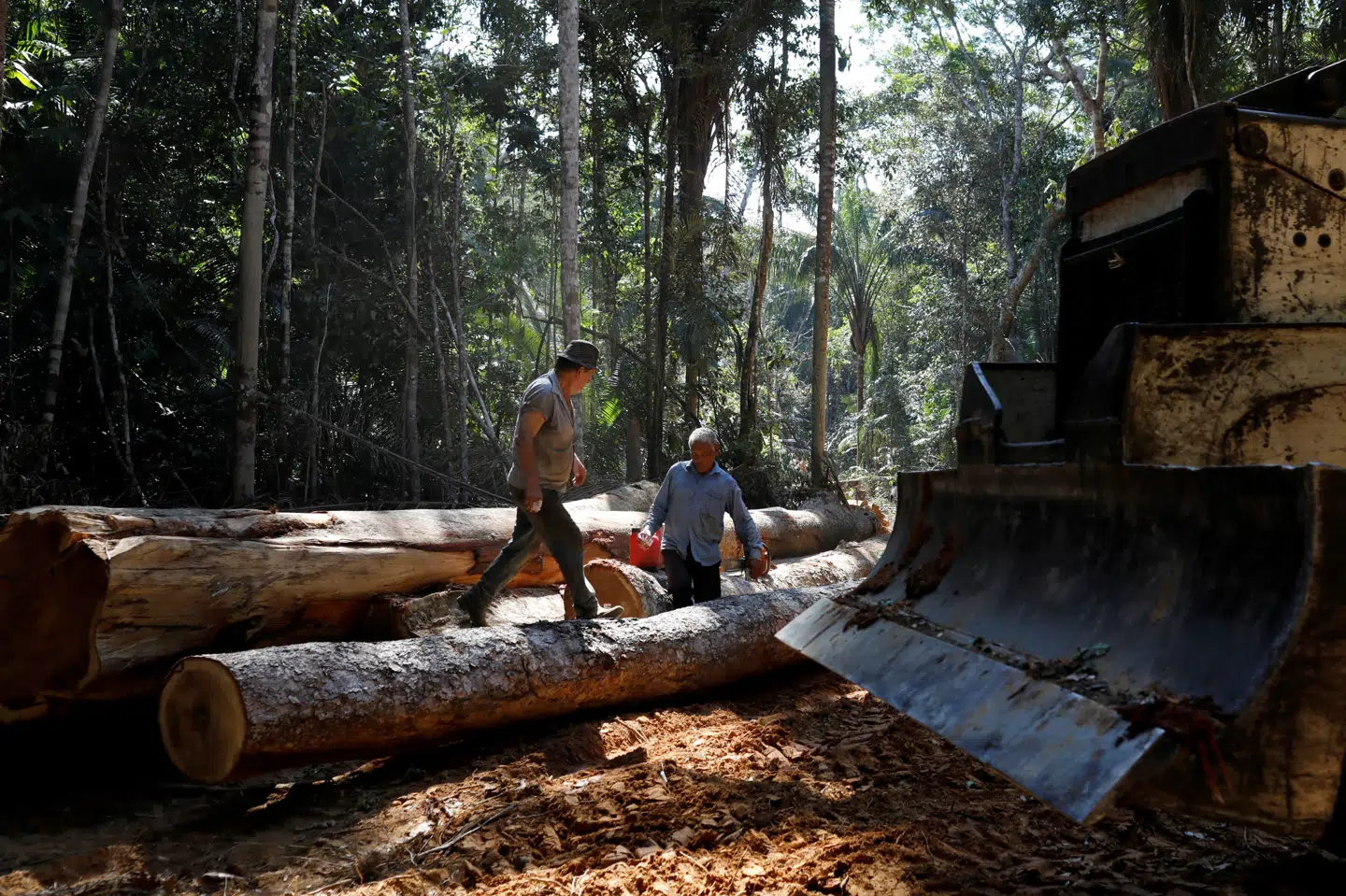 Afskovningen i den brasilianske del af Amazonas nåede nye højder i 2020, da et områder 14 gange så stort som New York City blev ødelagt. (Arkivfoto) Bruno Kelly/Reuters