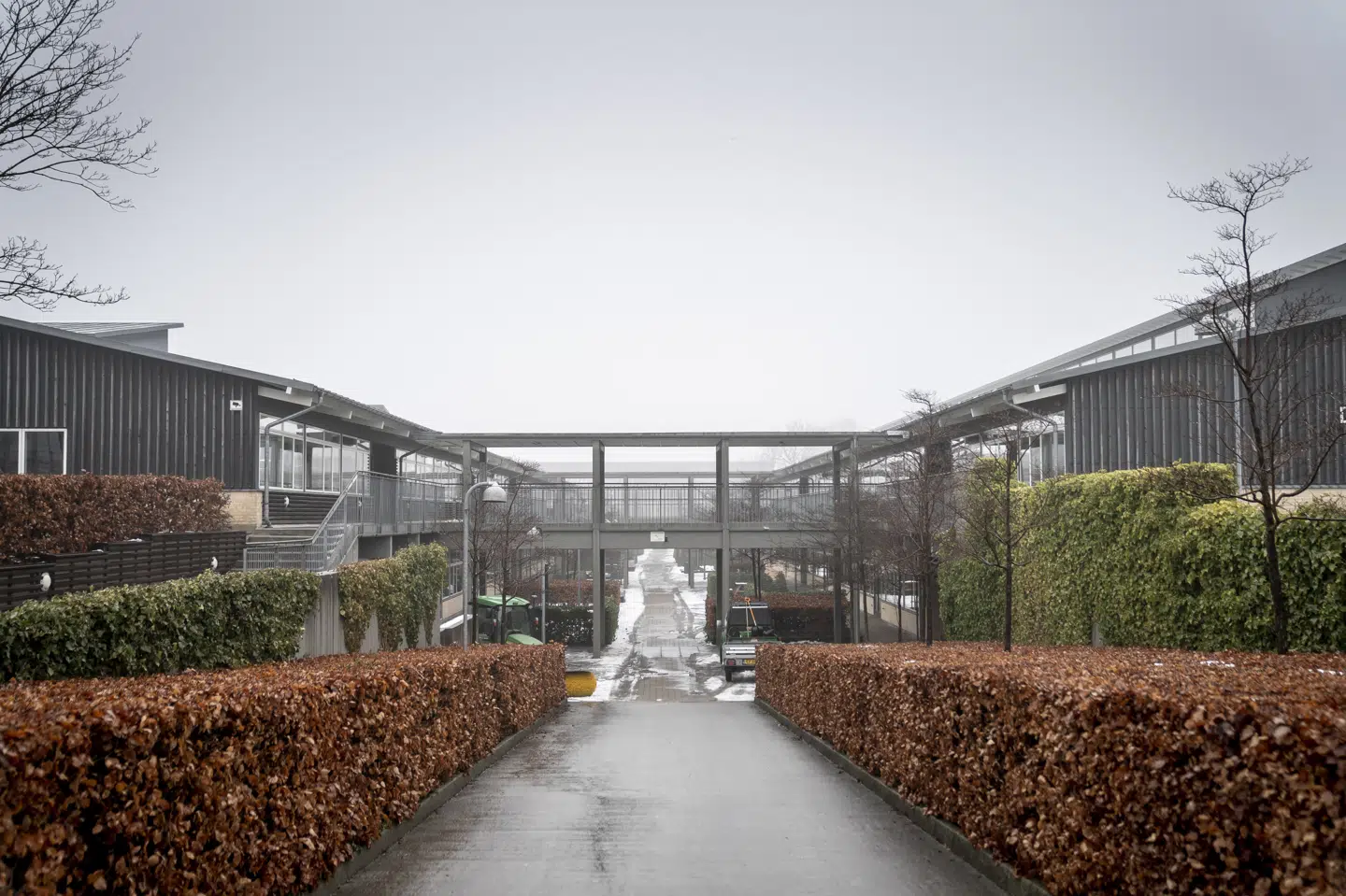 Ishøj er den kommune i landet, som er hårdest ramt af coronasmitte i øjeblikket. (Arkivfoto) Mads Claus Rasmussen/Ritzau Scanpix