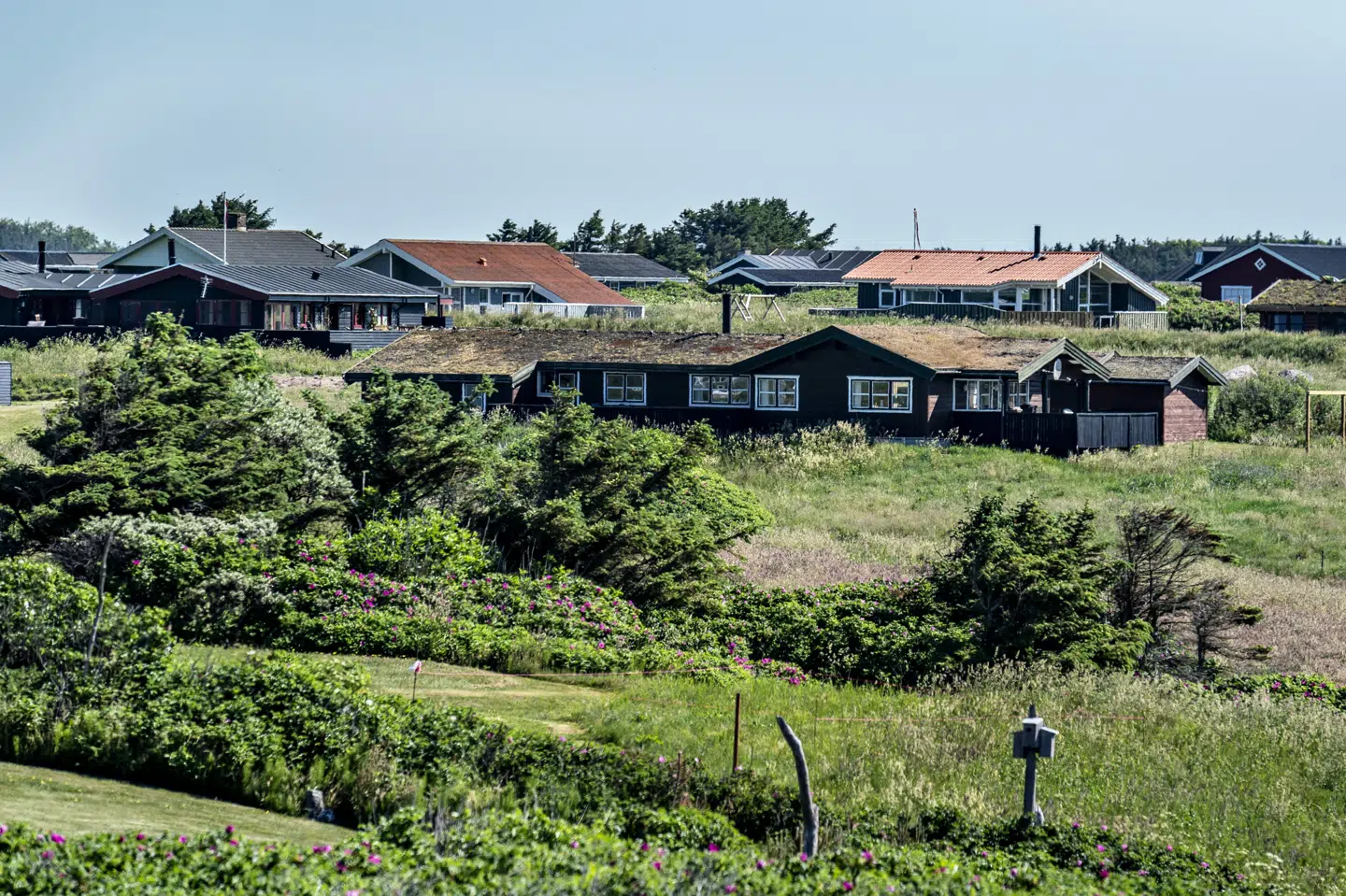 Tyskere udgør den største kundegruppe hos de danske sommerhusudlejere. Nu frygter udlejernes brancheorganisation, at reglerne for indrejse til Danmark får mange tyskere til at fravælge Danmark som feriemål. (Arkivfoto). Henning Bagger/Ritzau Scanpix