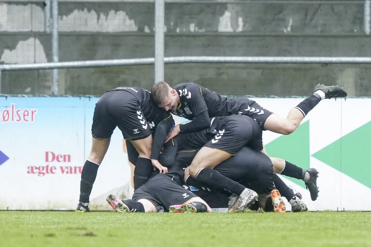 AC Horsens kunne juble over søndagens sejr over Sønderjyske. Claus Fisker/Ritzau Scanpix