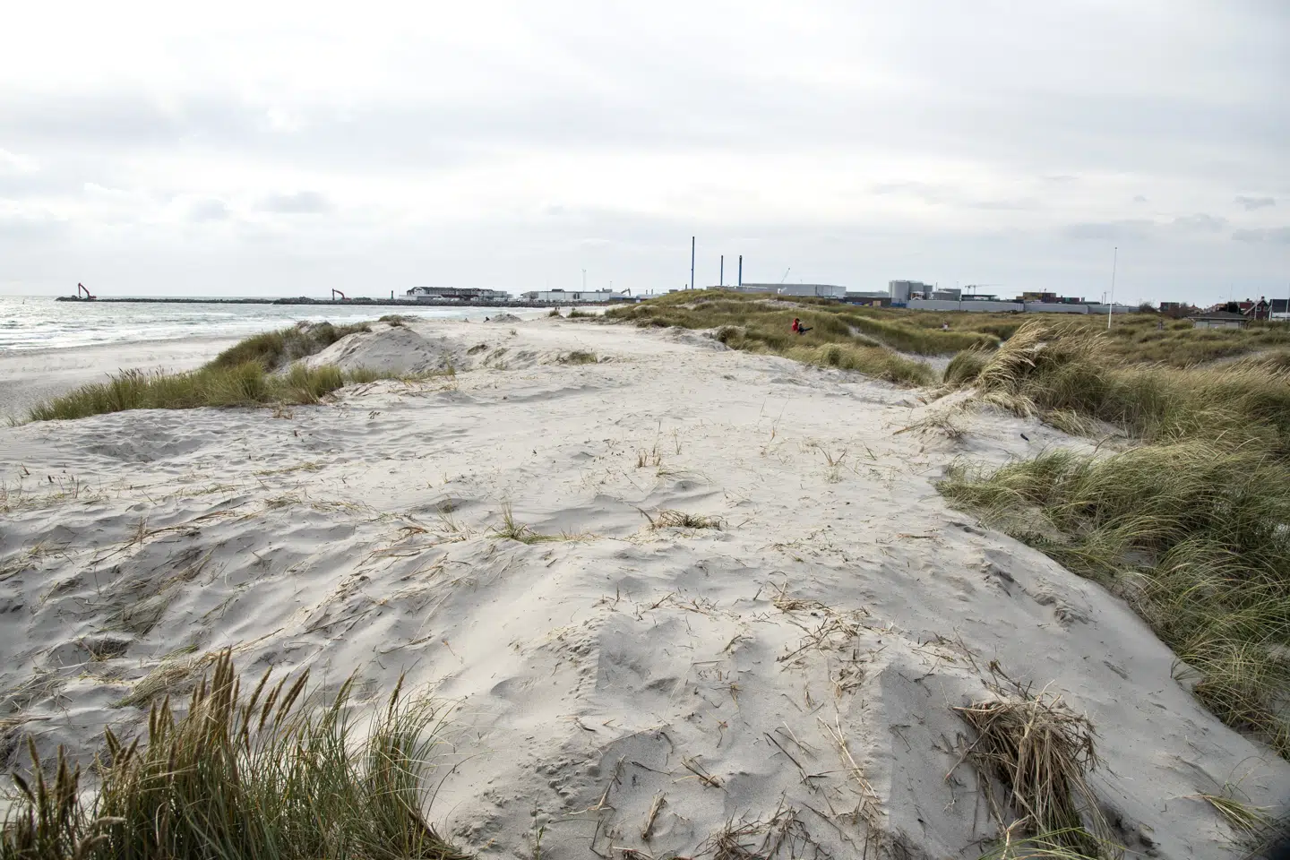 Det vakte forargelse hos mange skagboer, da de 26. oktober 2019 konstaterede, at to fredede klitområder på Sønderstrand var blevet udjævnet. Nu er det retslige efterspil i gang ved Retten i Hjørring. (Arkivfoto). Henning Bagger/Ritzau Scanpix