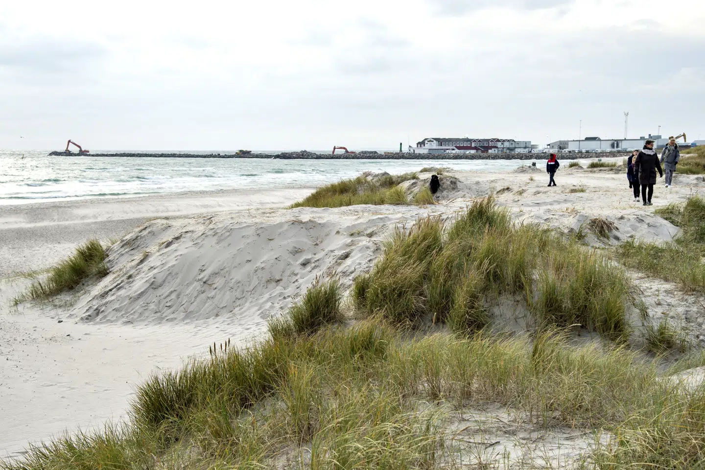 Over natten ændrede to klitområder ved Sønderstrand i Skagen udseende. En gummiged udjævnede ifølge politiet klitområderne. Nu er to mænd på anklagebænken i Retten i Hjørring. (Arkivfoto). Henning Bagger/Ritzau Scanpix