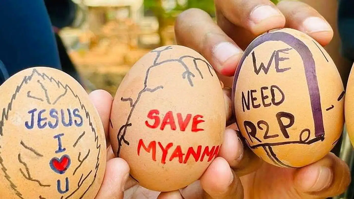 Her kan man se nogle af æggene, som er blevet brugt under demonstrationen.