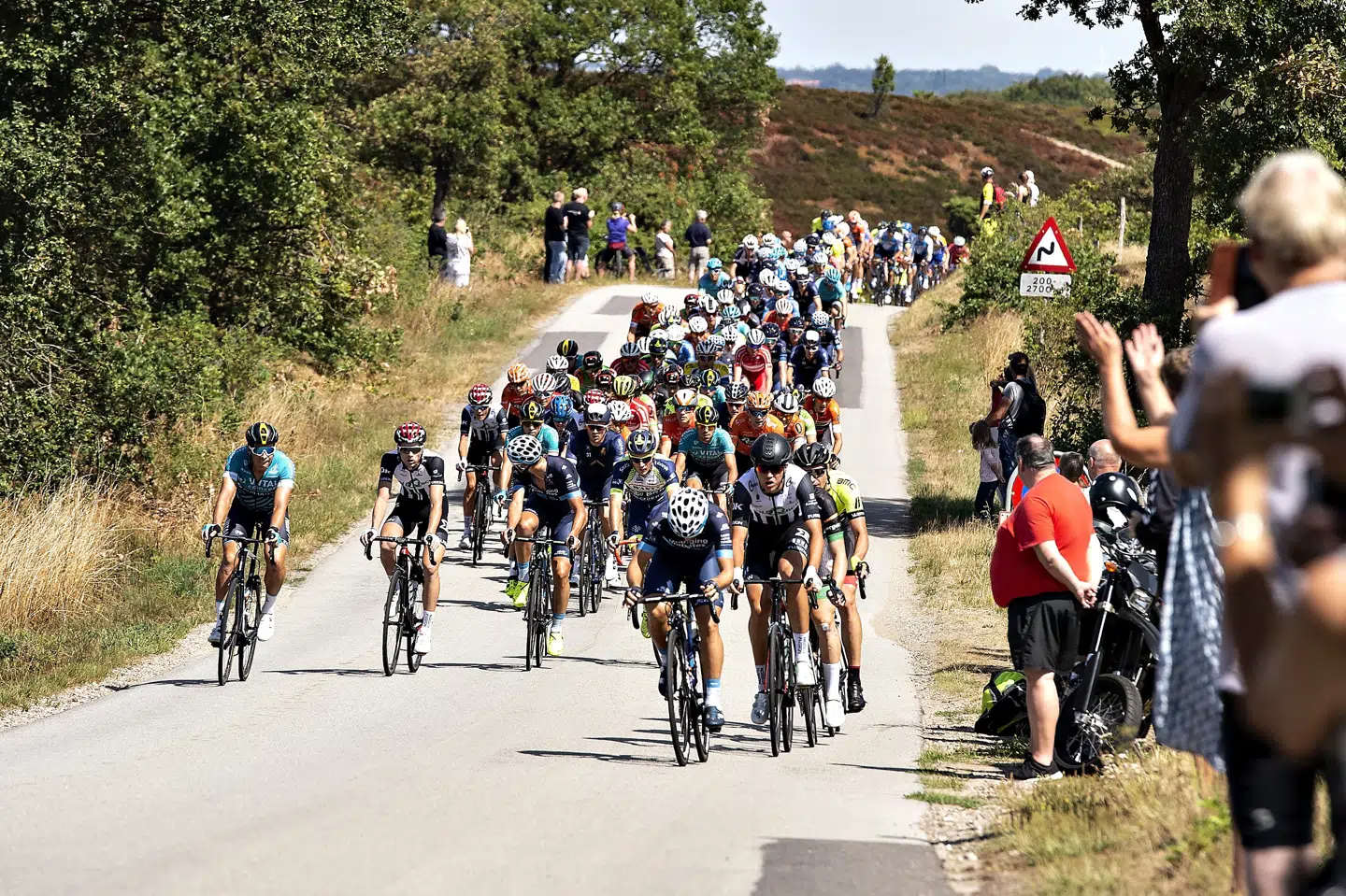 Længere tids uro har plaget toppen af Danmarks Cykle Union. Onsdag blev Bo Belhage ekskluderet fra bestyrelsen. Henning Bagger/Ritzau Scanpix