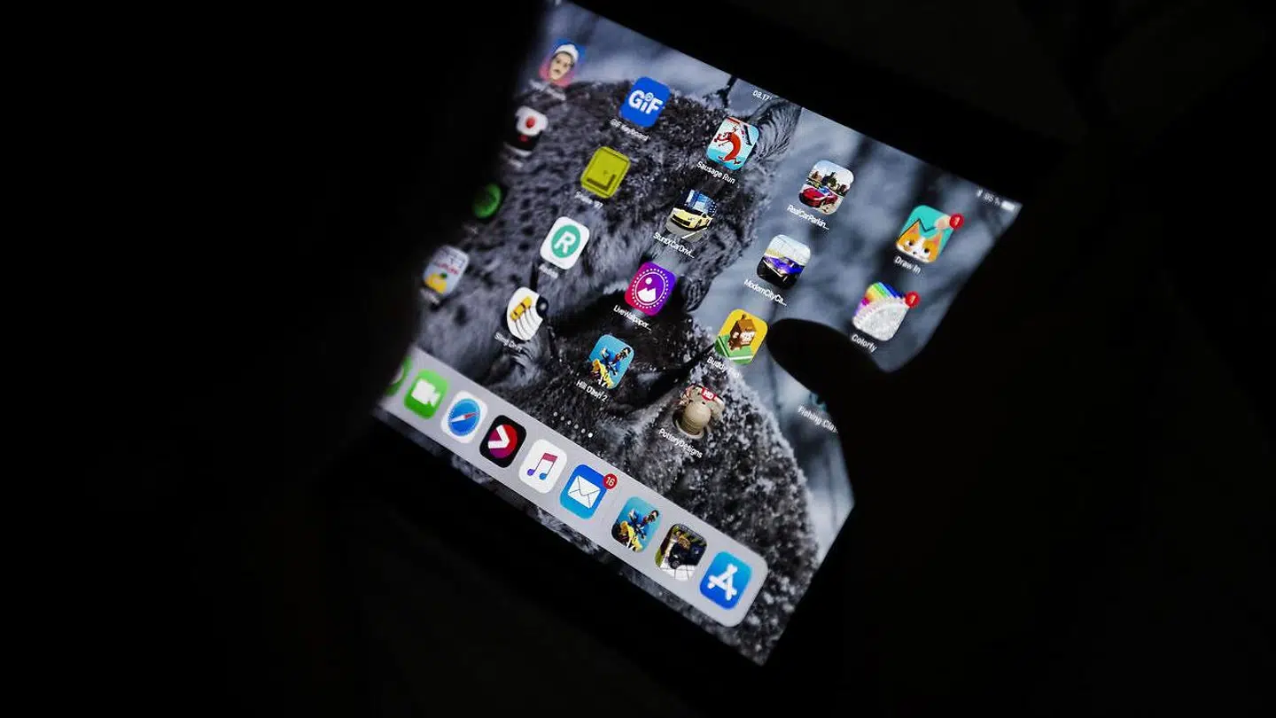 Børnenes datassikkerhed og digitale liv skal sikres langt bedre, mener SF, der vil indføre en digital børnebeskyttelseslov. Foto: Scanpix