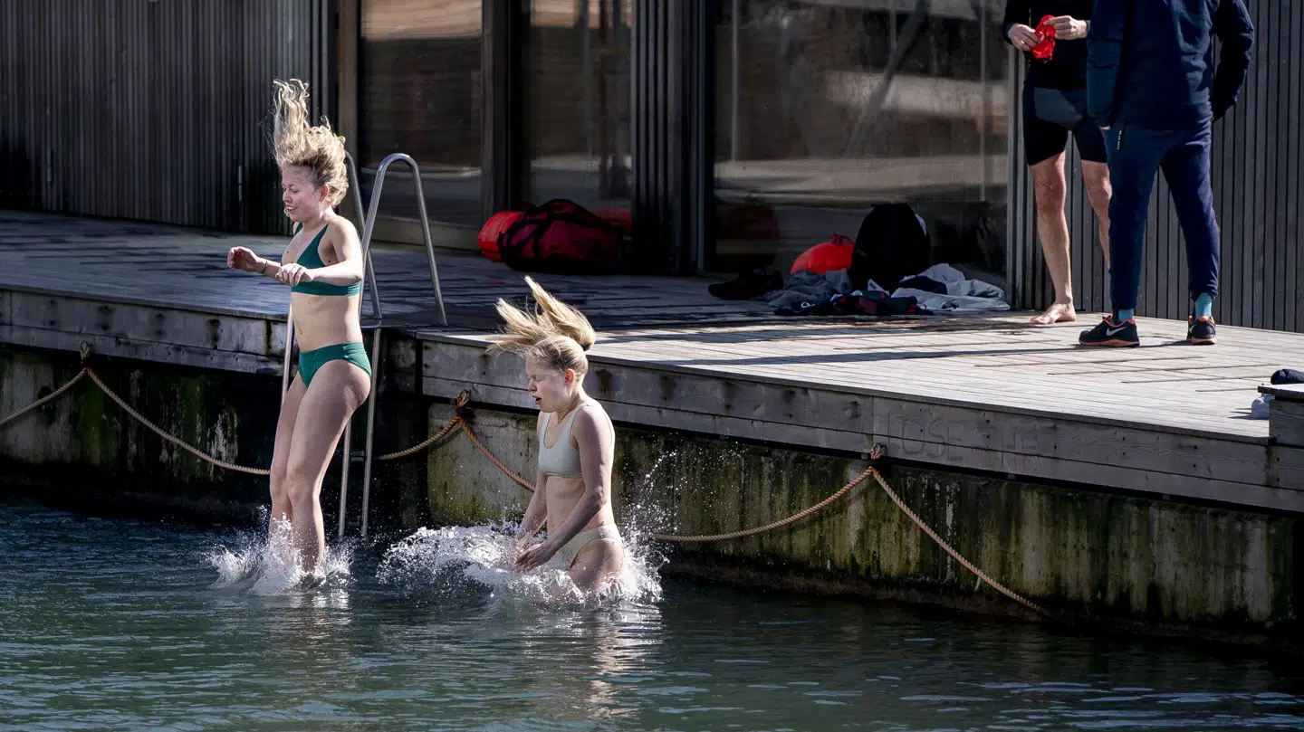 Det gode vejr fik flere til at hoppe en tur i havnen. Foto: Liselotte Sabroe/Ritzau Scanpix