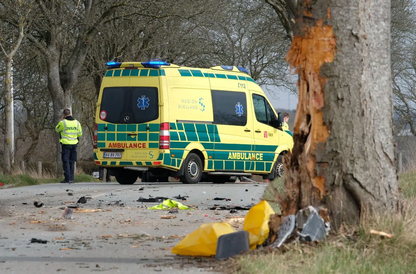 Træet som blev ramt.