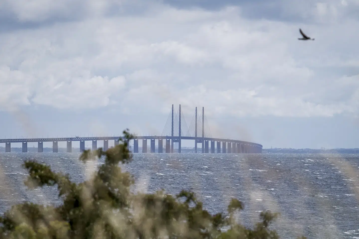 Øresundsbroen, der forbinder København med Malmø. Fra 31. marts ophæver Sverige indrejseforbuddet over for Danmark og Norge. (Arkivfoto) Niels Christian Vilmann/Ritzau Scanpix
