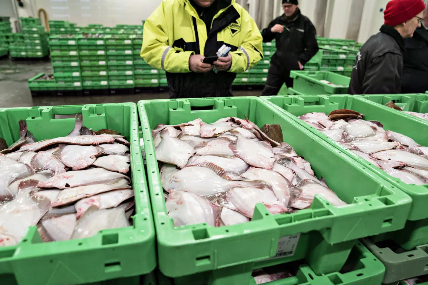 - Jeg glad for, at fiskeriet efter tobis kan begynde her til den 1. april. Det har været en stor prioritet for Danmark i forhandlingerne, siger fiskeriminister Rasmus Prehn (S) i en skriftlig udtalelse. (Arkivfoto) Henning Bagger/Ritzau Scanpix