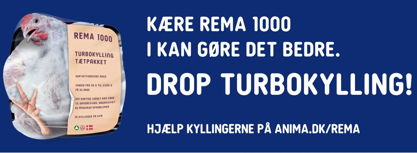 Anima-banner, som bliver hængt op