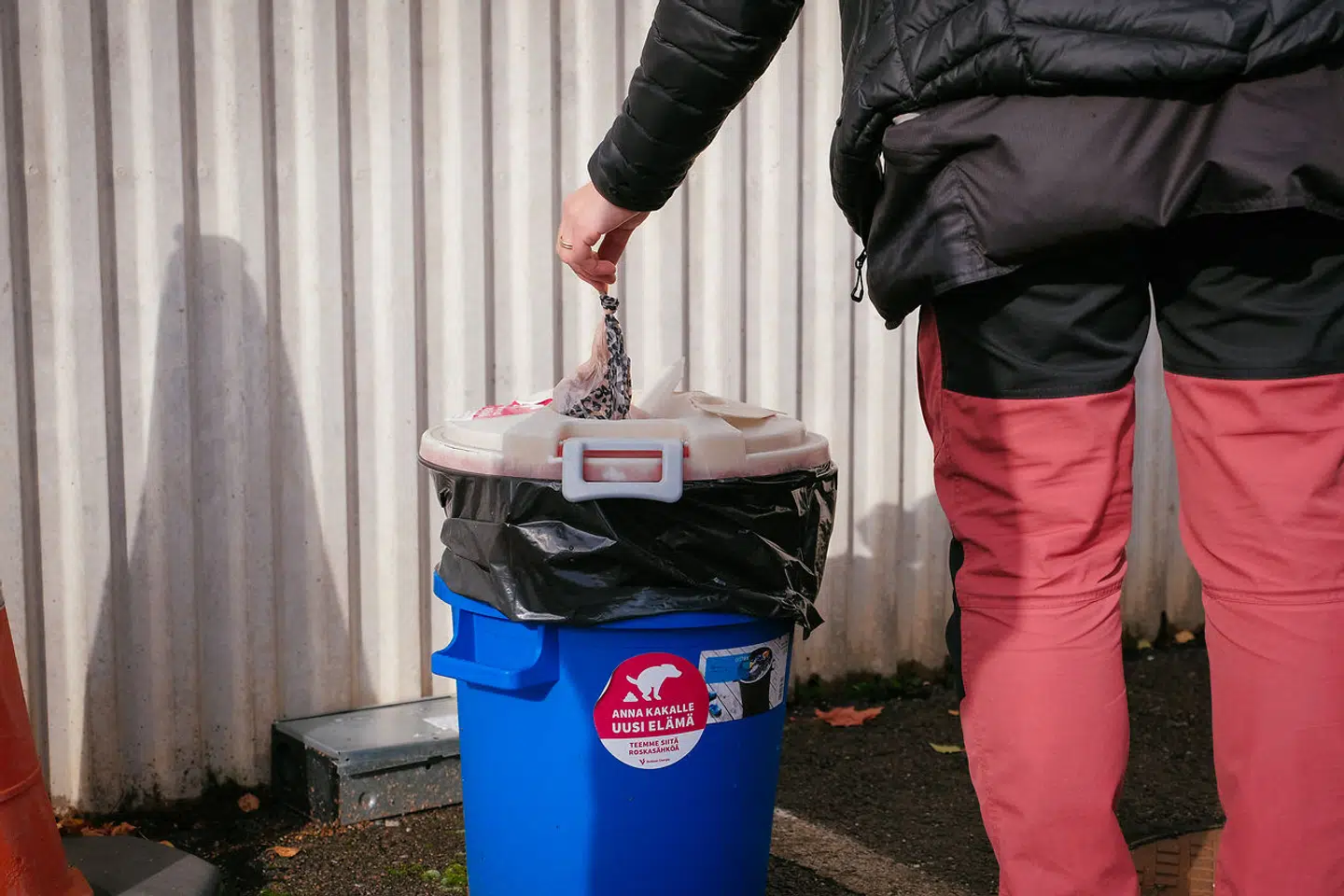 Saml hundelorten op i en pose og smid den i skraldespanden, er opfordringen fra flere af B.T.s kilder. (Arkivbillede)