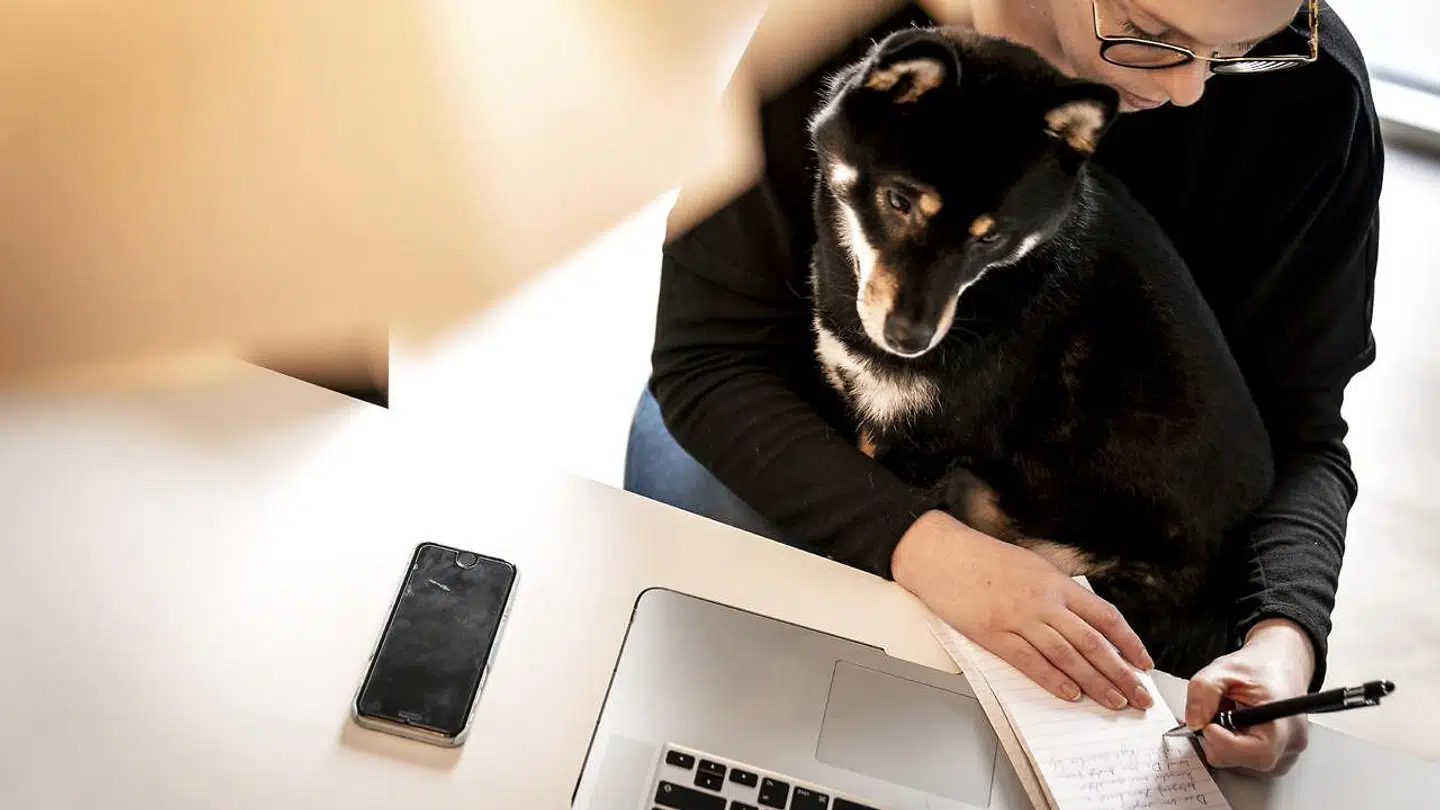 Mange medarbejdere mistrives med hjemmearbejde under coronakrisen, og derfor lader flere og flere virksomheder deres medarbjedere vende gradvist tilbage. (Arkivfoto)