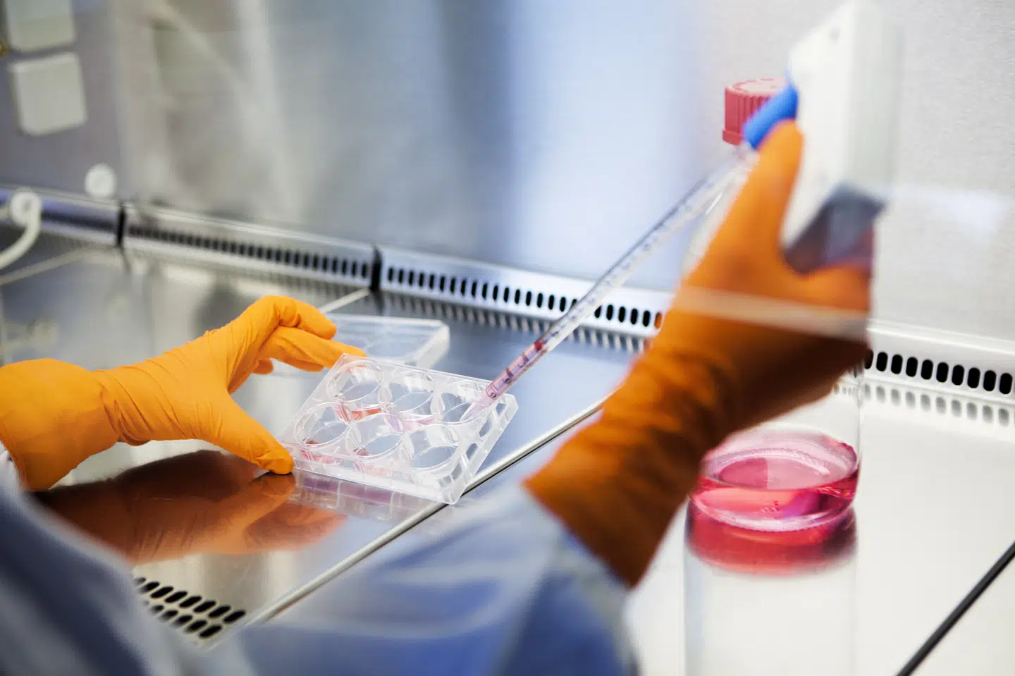 Det danske bud på en coronavaccine kunne allerede i sommer fremvise lovende resultater. Derfor anbefalede Lægemiddelstyrelsen, at Danmark skulle støtte vaccinen for at sikre hurtigere udviklingsproces. (Arkivfoto). Betina Garcia/Ritzau Scanpix