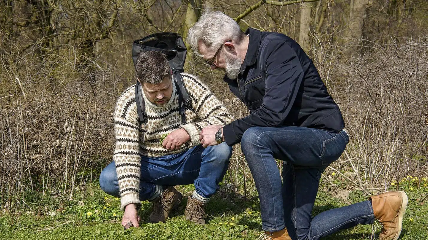 Thomas Laursen ses her i selskab med Søren Frank i Dyrehaven, hvor de sanker.
