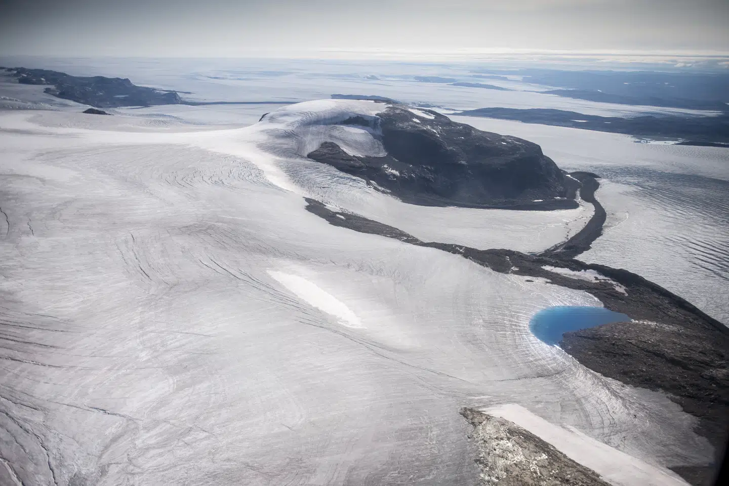 Forskere fra Danmark, USA og Belgien finder intakte plantefossiler under indlandsisen for første gang nogensinde. (Arkivfoto) Mads Claus Rasmussen/Ritzau Scanpix