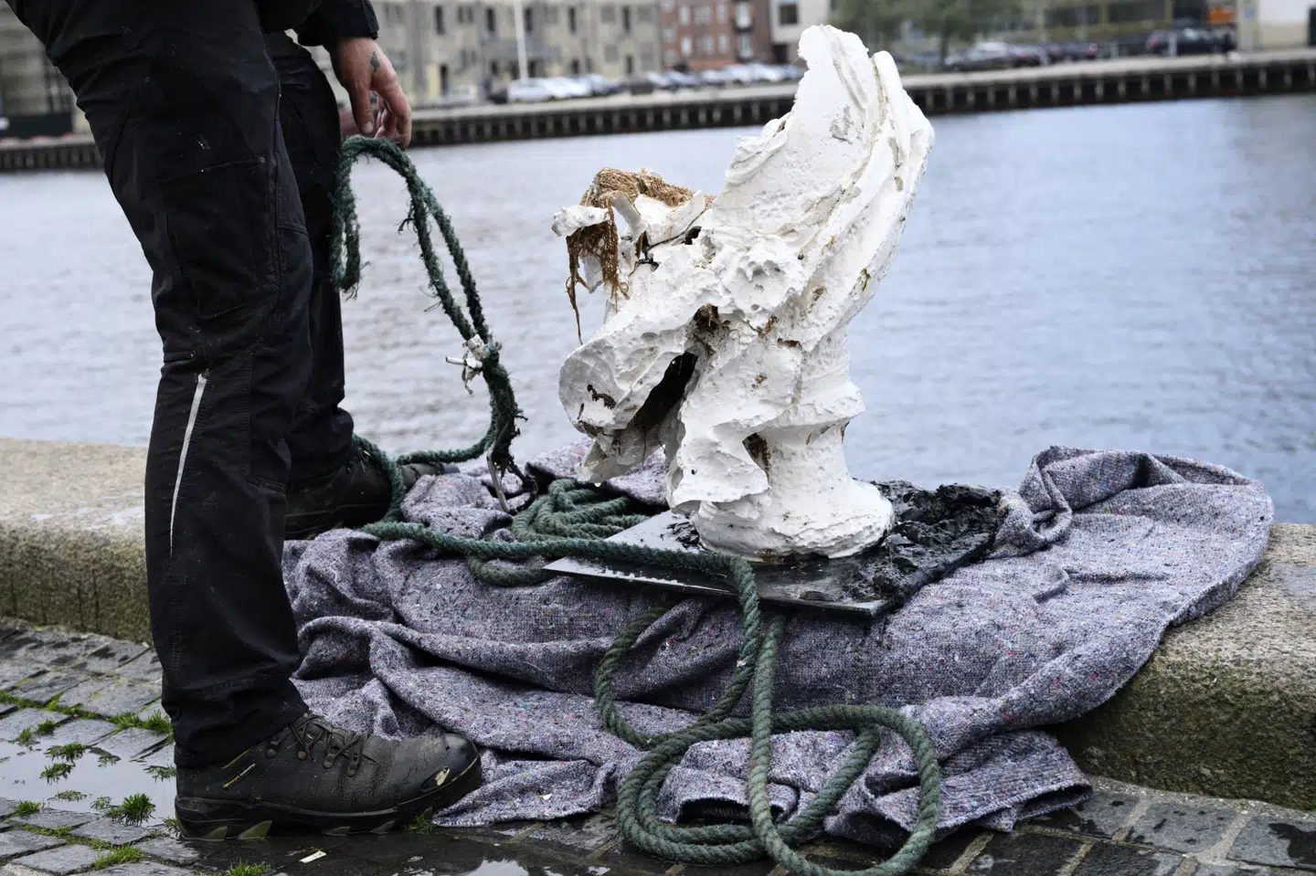 En dykker måtte i vandet for at hente en gipsbuste af Frederik V op fra Københavns havn. (Arkivfoto) Philip Davali/Ritzau Scanpix