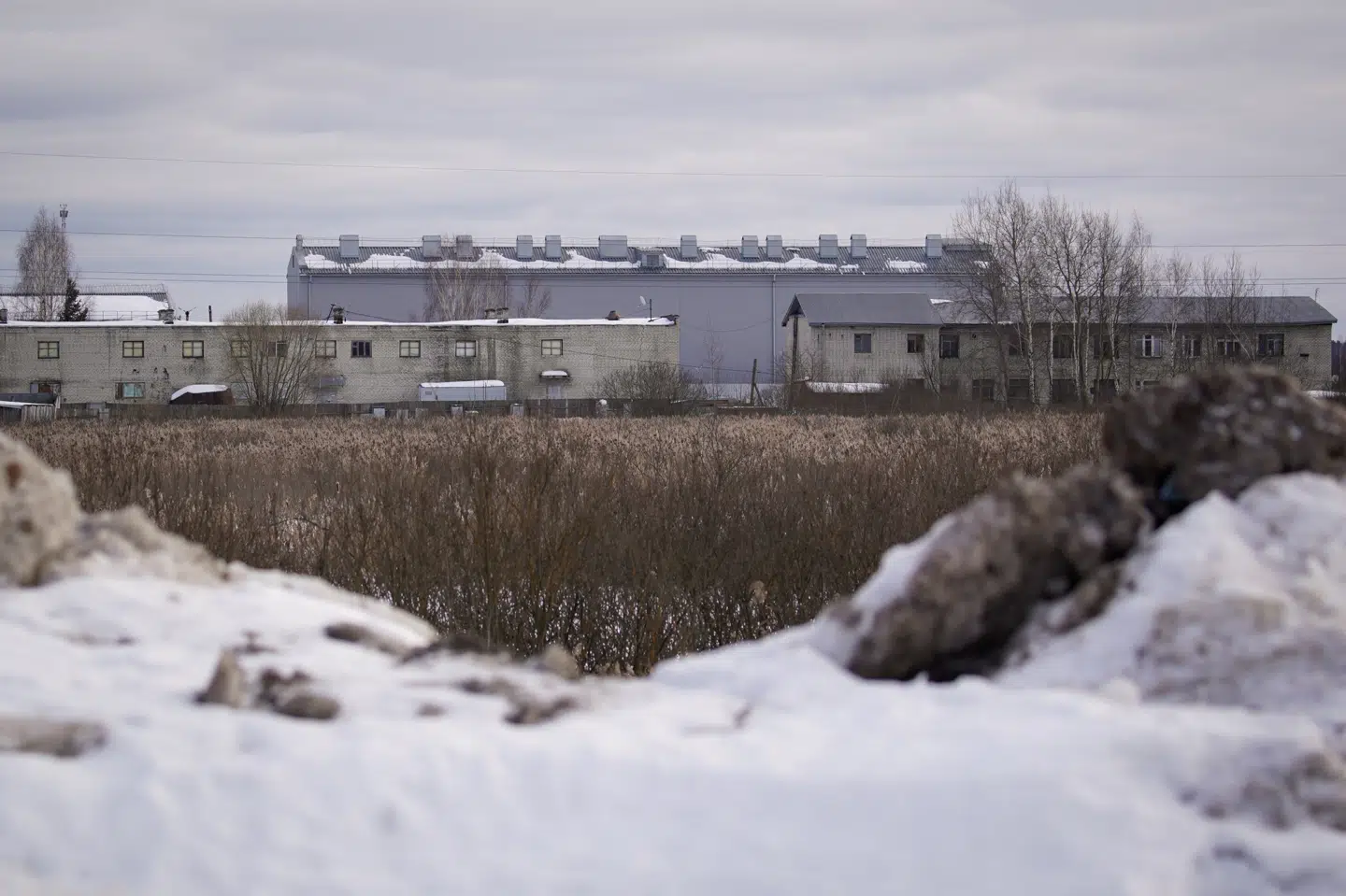 Straffekoloni nummer 2, hvor den russiske oppositionsleder Aleksej Navalnyj menes at være indsat. Han siger, at han bliver vækket hver time, fordi han mistænkes for at ville flygte. Tatyana Makeyeva/Reuters