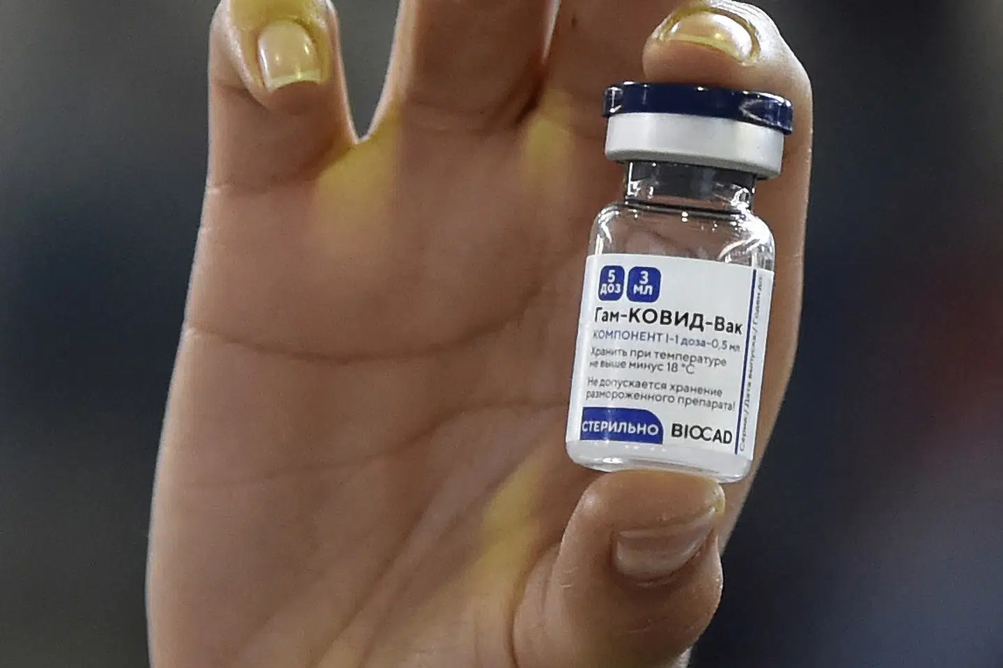 Ruslands vaccinationsprogram udrulles for langsomt. Sputnik V skaber politiske stridigheder i Østeuropa. (Arkivfoto) Alfredo Estrella/Ritzau Scanpix