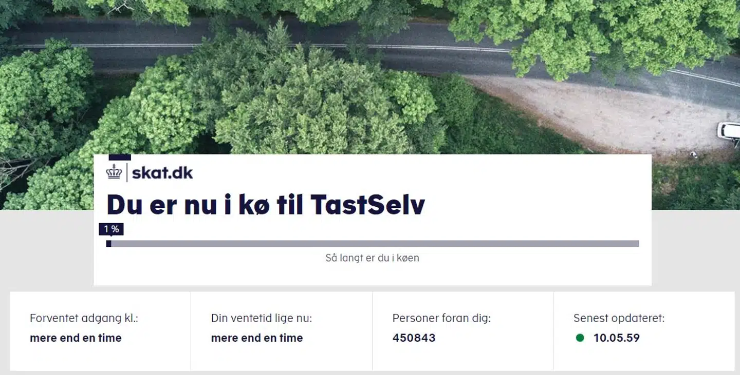 Skattestyrelsens hjemmeside kl. 10.05.