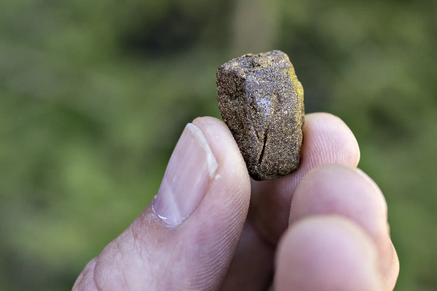 En 20-årig mand er sigtet i en sag om flere hundrede kilo hash, som blev smuglet ind i Danmark. Manden ventes at tilstå sin rolle i sagen i et retsmøde fredag. (Arkivfoto). Jens Nørgaard Larsen/Ritzau Scanpix