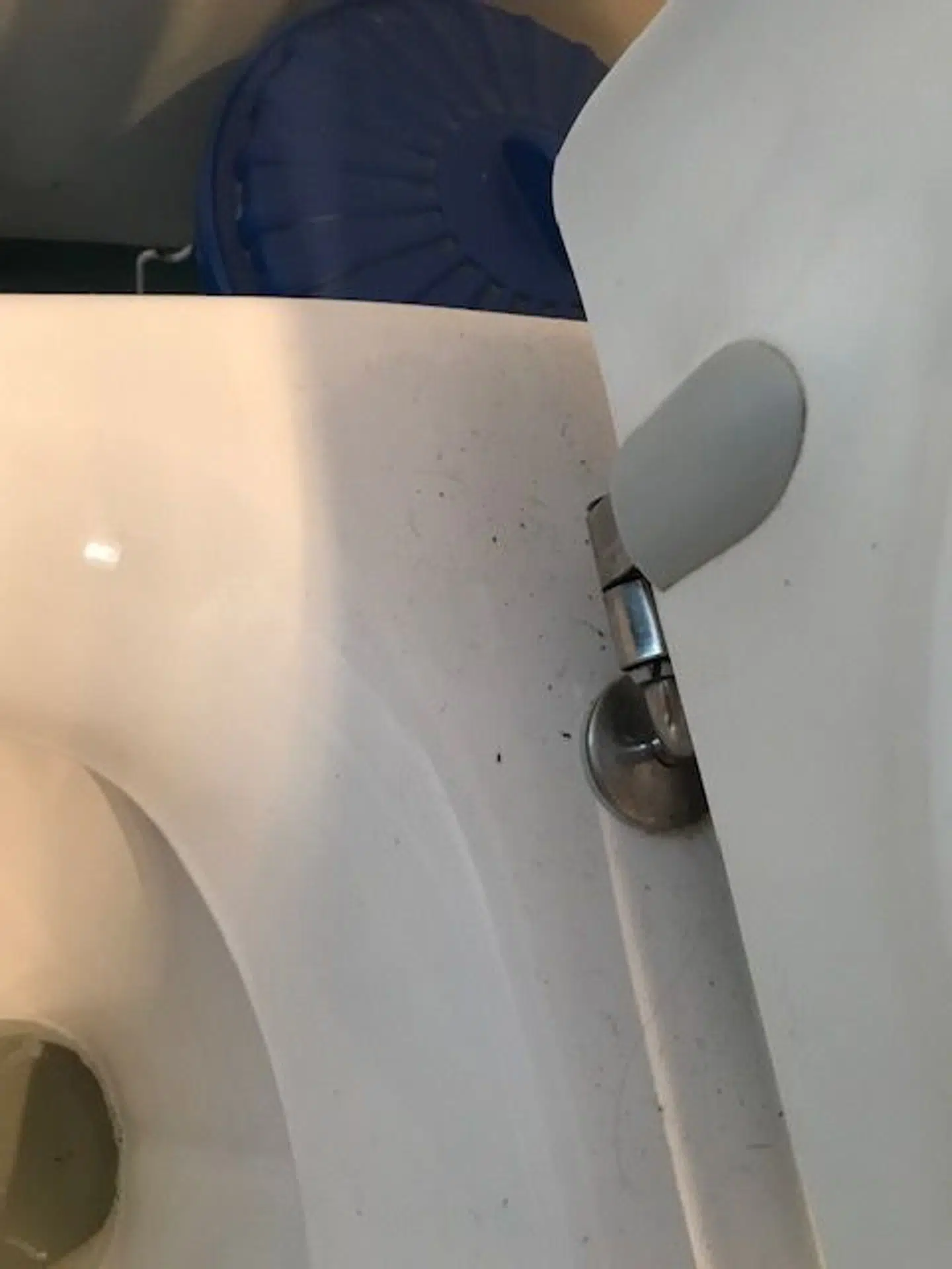 Familien Røjkjær kunne hurtigt se, at toilettet ikke var rengjort