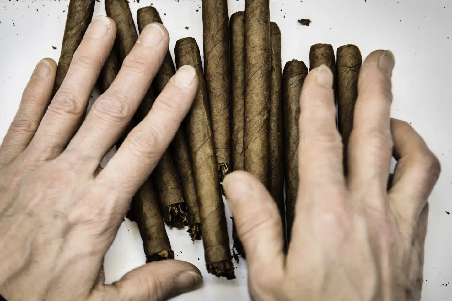 Scandinavian Tobacco Groups salg endte på 8 milliarder kroner i 2020. Det er en vækst på syv procent sammenlignet med 2019. Thomas Lekfeldt/Ritzau Scanpix