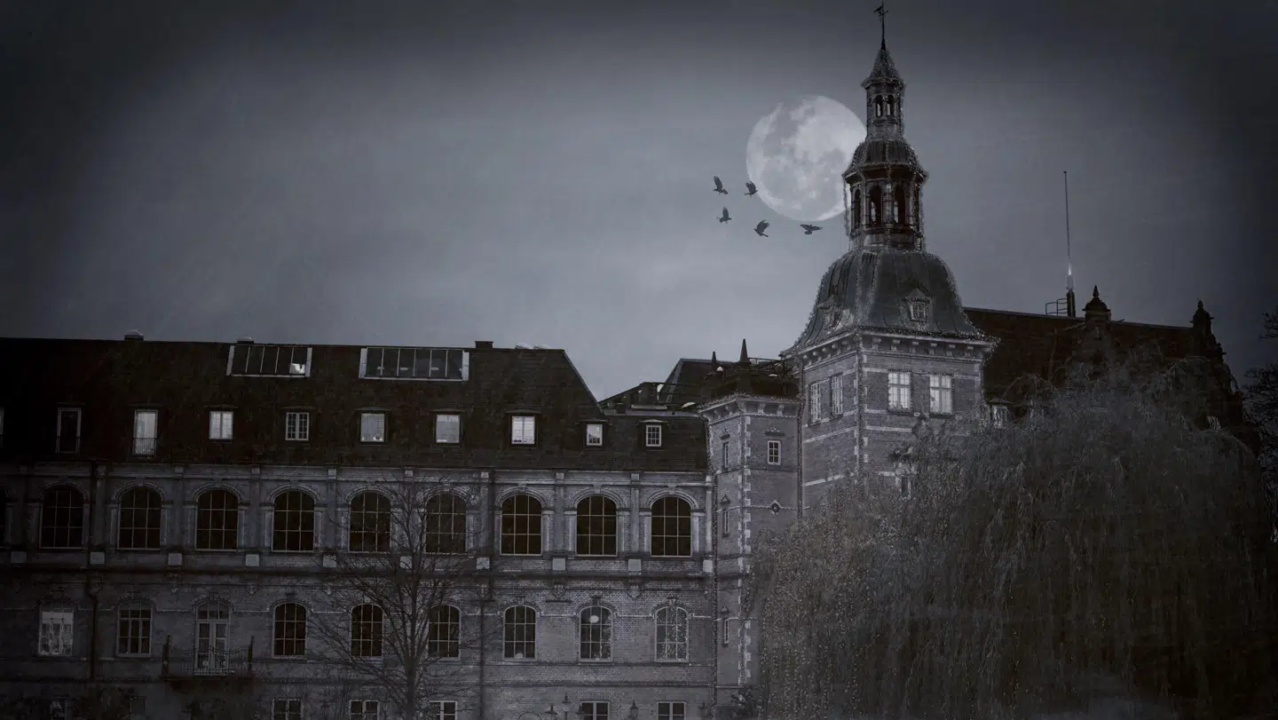 Tivoli søger 'galninge' som kan skræmme de besøgende i det kommende scaryhouse, Villa Vendetta, fra vid og sans.