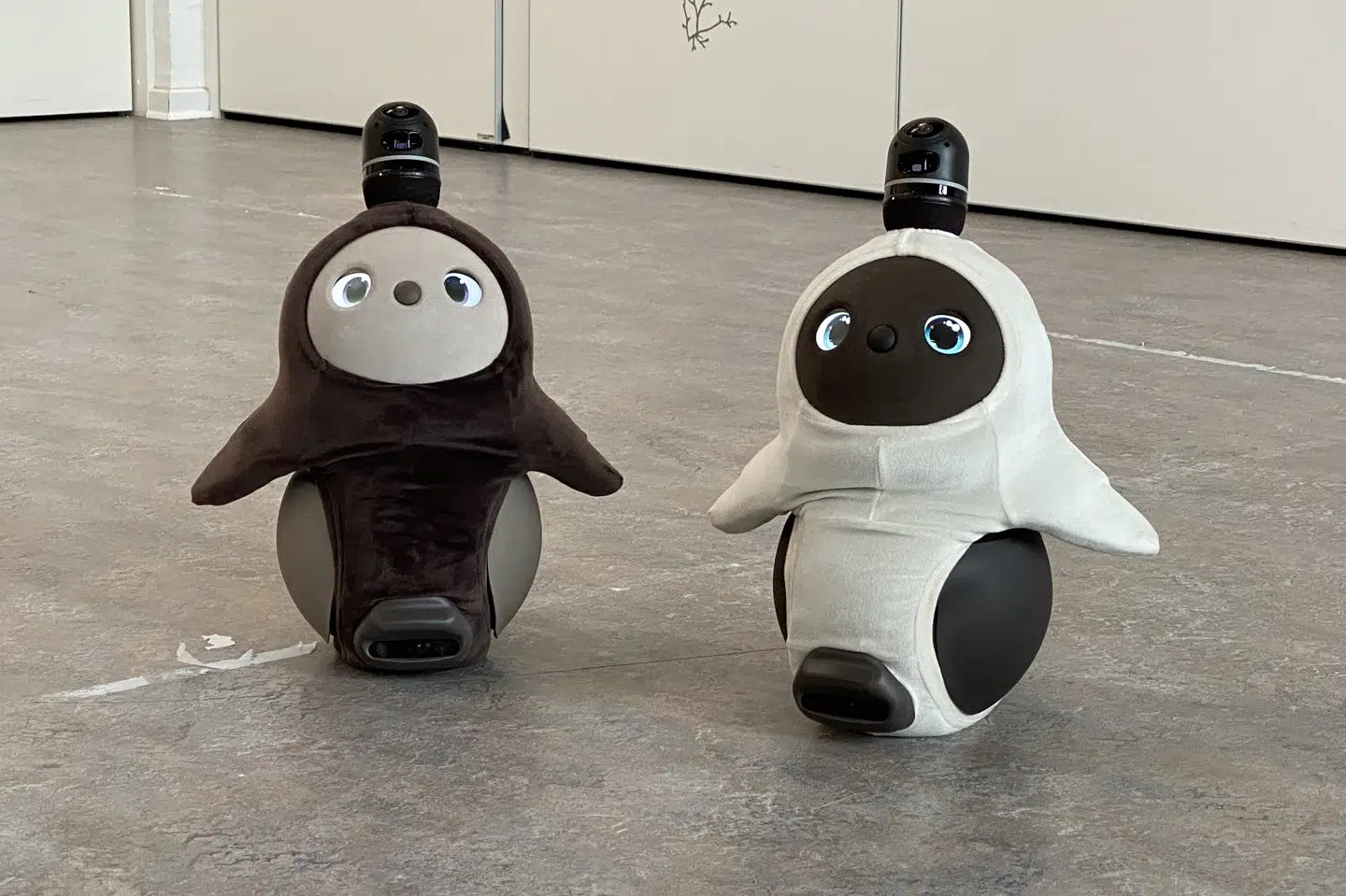 Robotterne har store øjne, blød pels og forsøger med kurrende lyde at komme i kontakt med alle omkring sig. Aalborg Kommune/Free