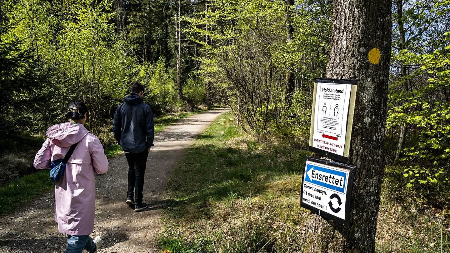 Coronakrisen har fået langt flere danskere til at trække ud i naturen. Forventingen er, at sommeren vil komme til at stå endnu mere i naturens tegn. Foto: Henning Bagger/Ritzau Scanpix