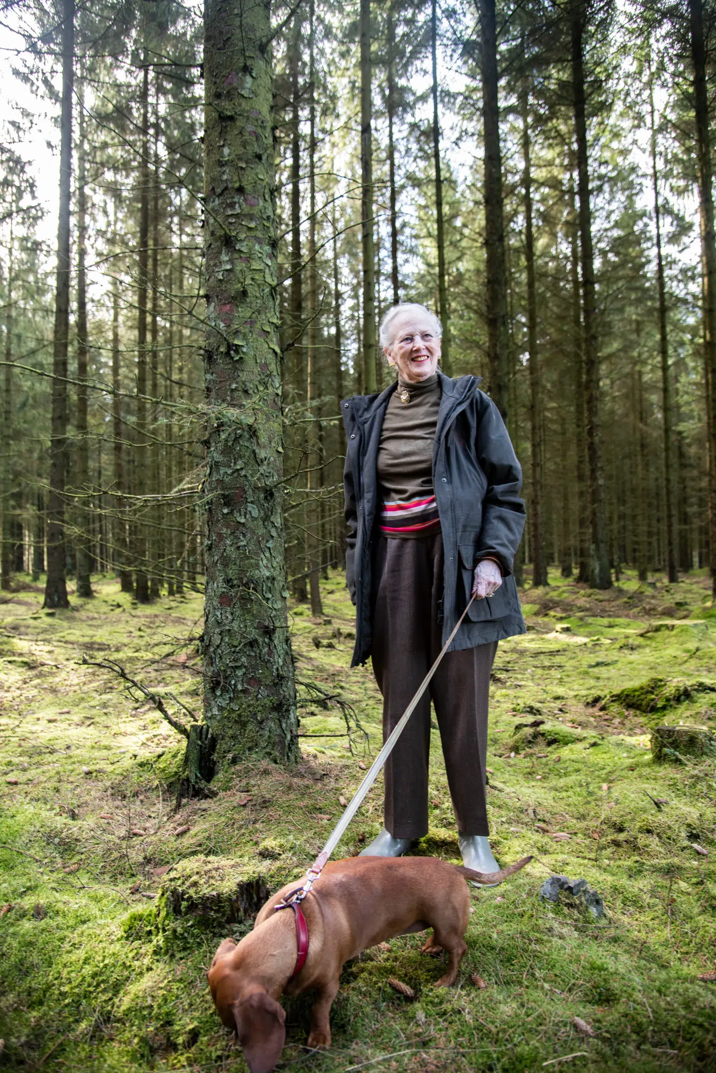 Dronningens billede fra den vesthimmerlandske skov.