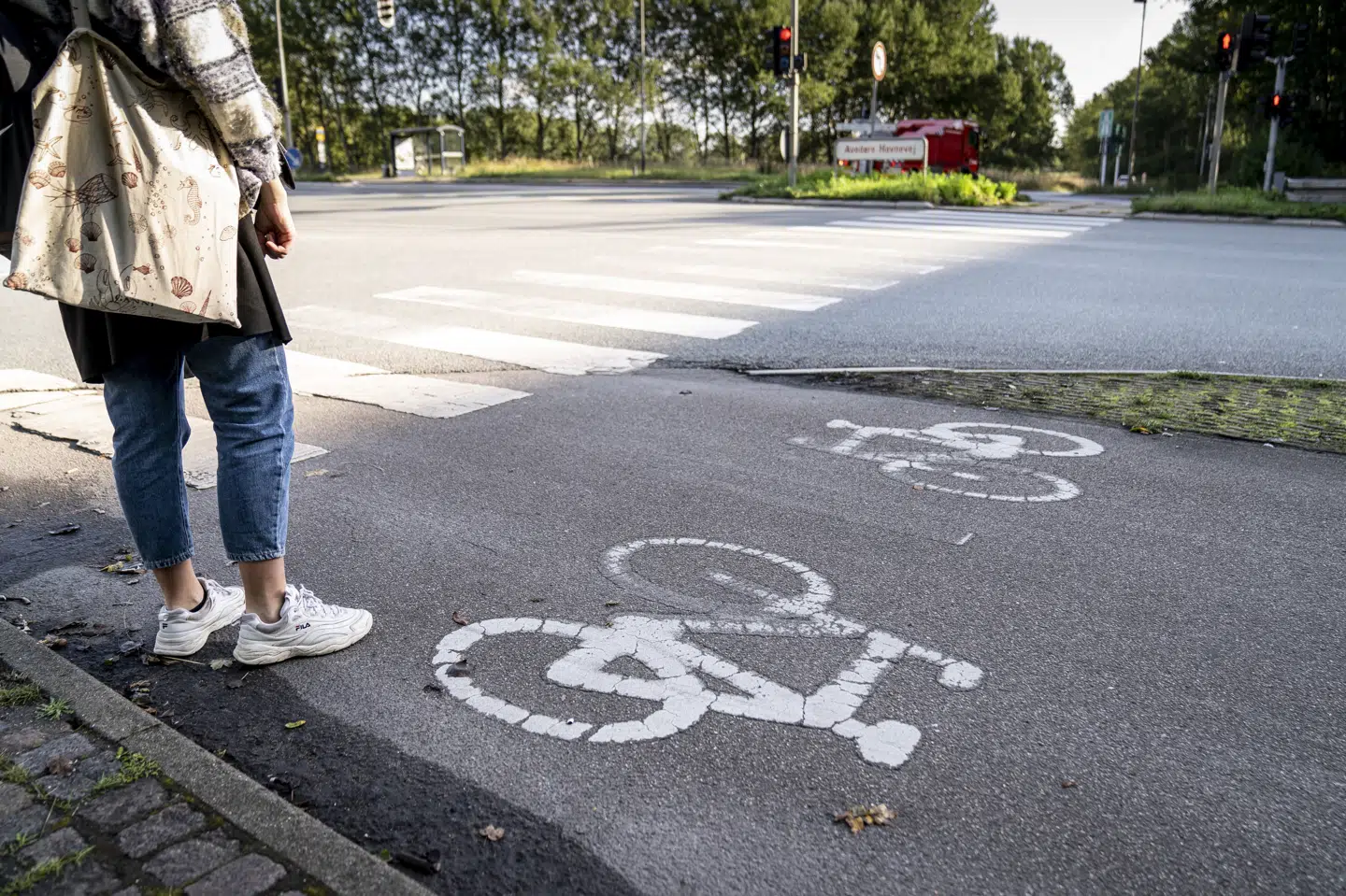Dansk Industri foreslår, at samfundet investerer tre milliarder kroner i bedre forhold for cyklisterne. (Arkivfoto) Mads Claus Rasmussen/Ritzau Scanpix