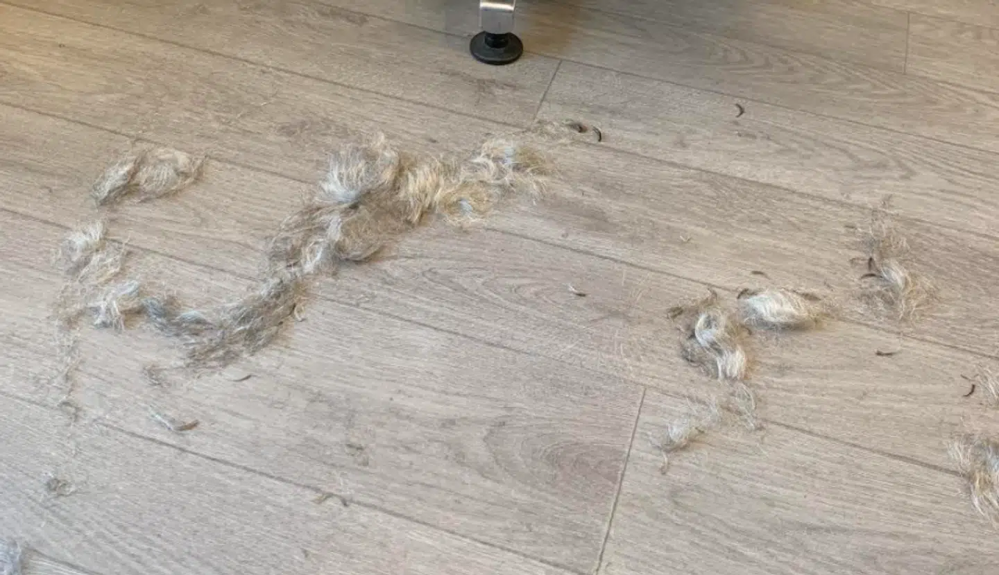 Henriette Bell kunne for første gang i måneder feje hår op fra gulvet.