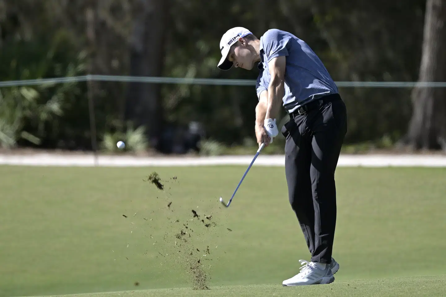 Rasmus Højgaard har aldrig før spillet i en af de fire årlige WGC-turneringer, som er blandt de mest lukrative i golfkalenderen. (Arkivfoto) Pheland M. Ebenhack/Ritzau Scanpix