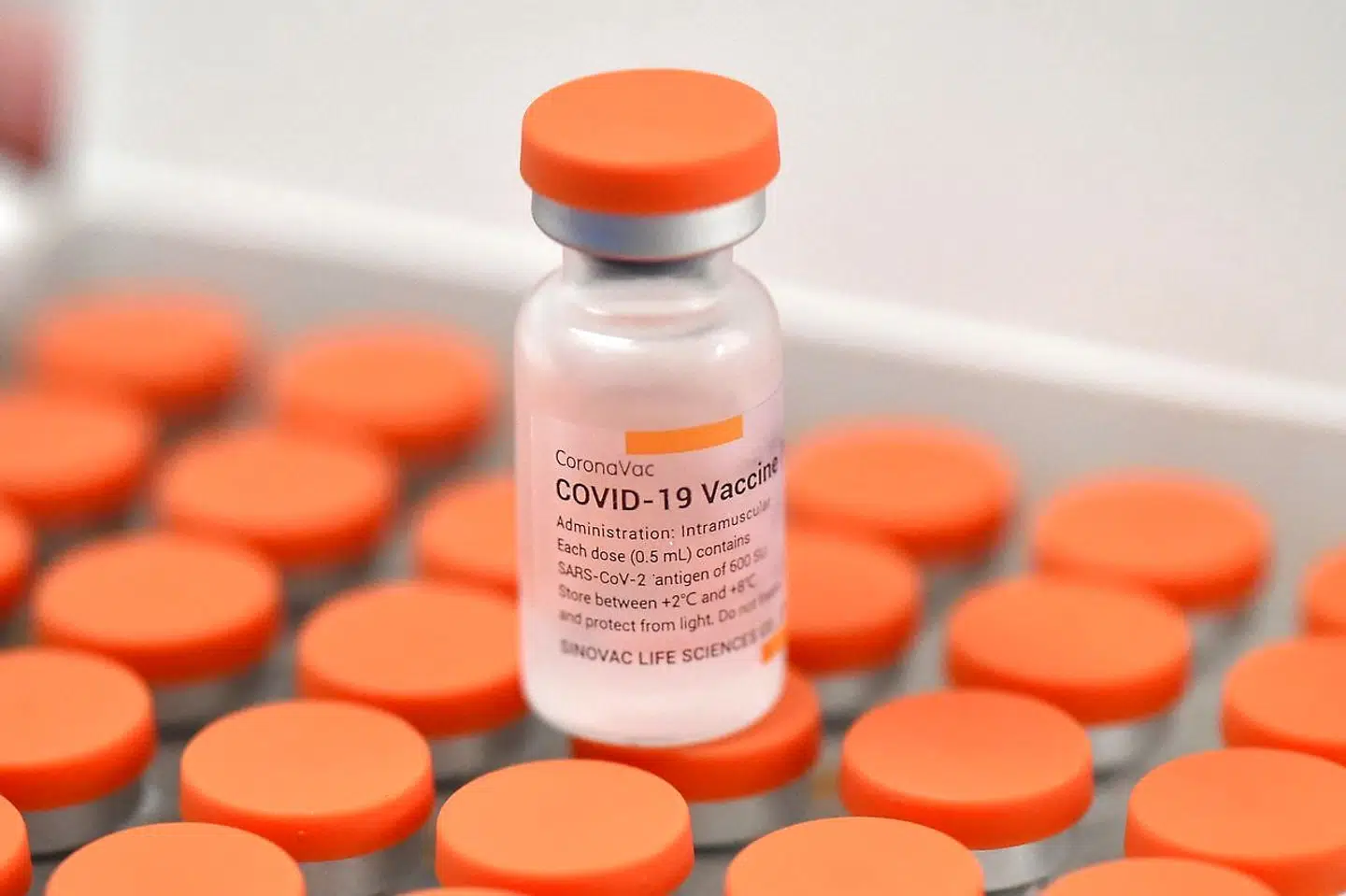 View of a vial of the Sinovac vaccine against COVID-19, in Cali, Colombia, on February 25, 2021. (Photo by Luis ROBAYO / AFP)