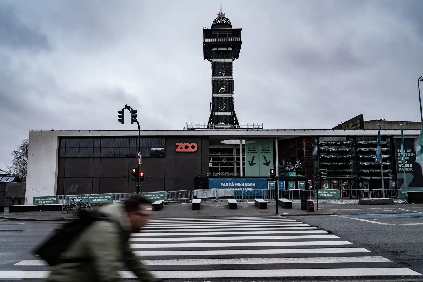 København Zoo planlægger at genåbne, men det når ikke at blive 1. marts. Zoo afventer de nærmere meldinger fra myndighederne. (Arkivfoto) Emil Helms/Ritzau Scanpix
